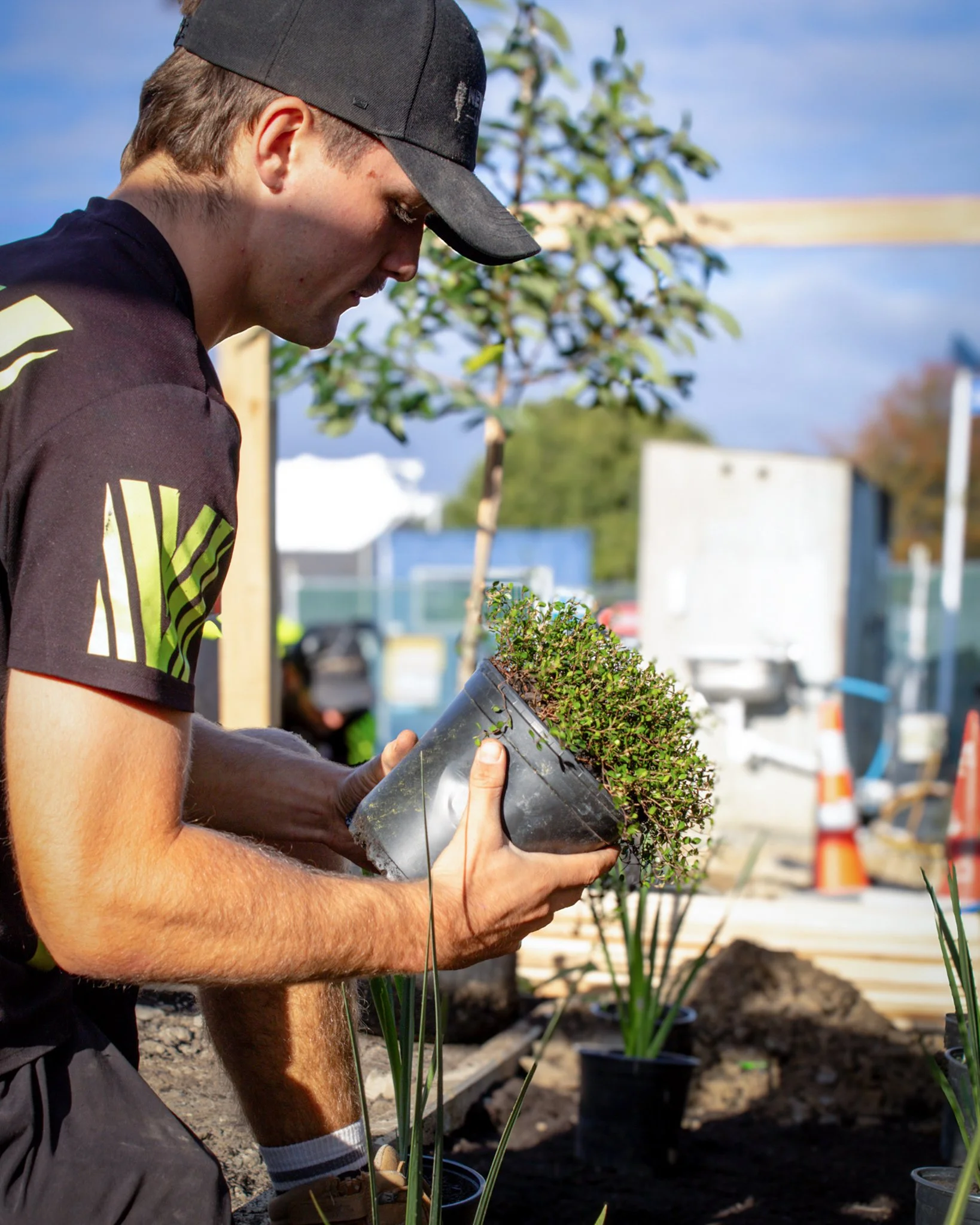 Robbie is bringing this landscape to life with fresh planting on site. 🌱🌿

#newvisionlandscapes #nvl #nvp #nvpools #landscapearchitecture #landscapedesign #nvdesign #teamawesome #teamnvl #nelsontasman #nelsontasmannz