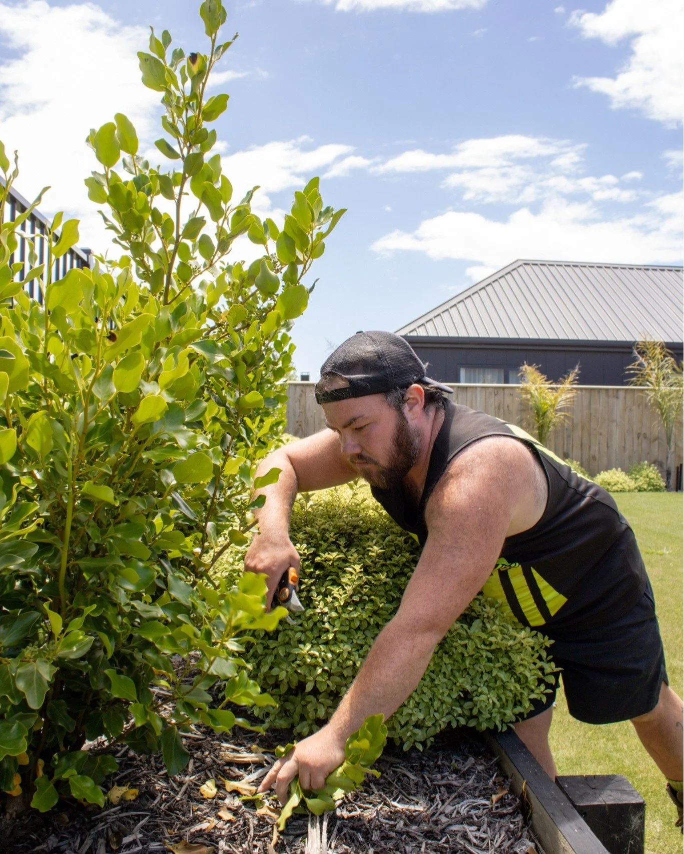 Keeping residential properties in top shape through every season. Get in touch with the team today for a quote on your property maintenance needs. 🌿

#newvisionlandscapes #nvl #landscapearchitecture #landscapedesign #nvdesign #teamawesome #teamnvl #