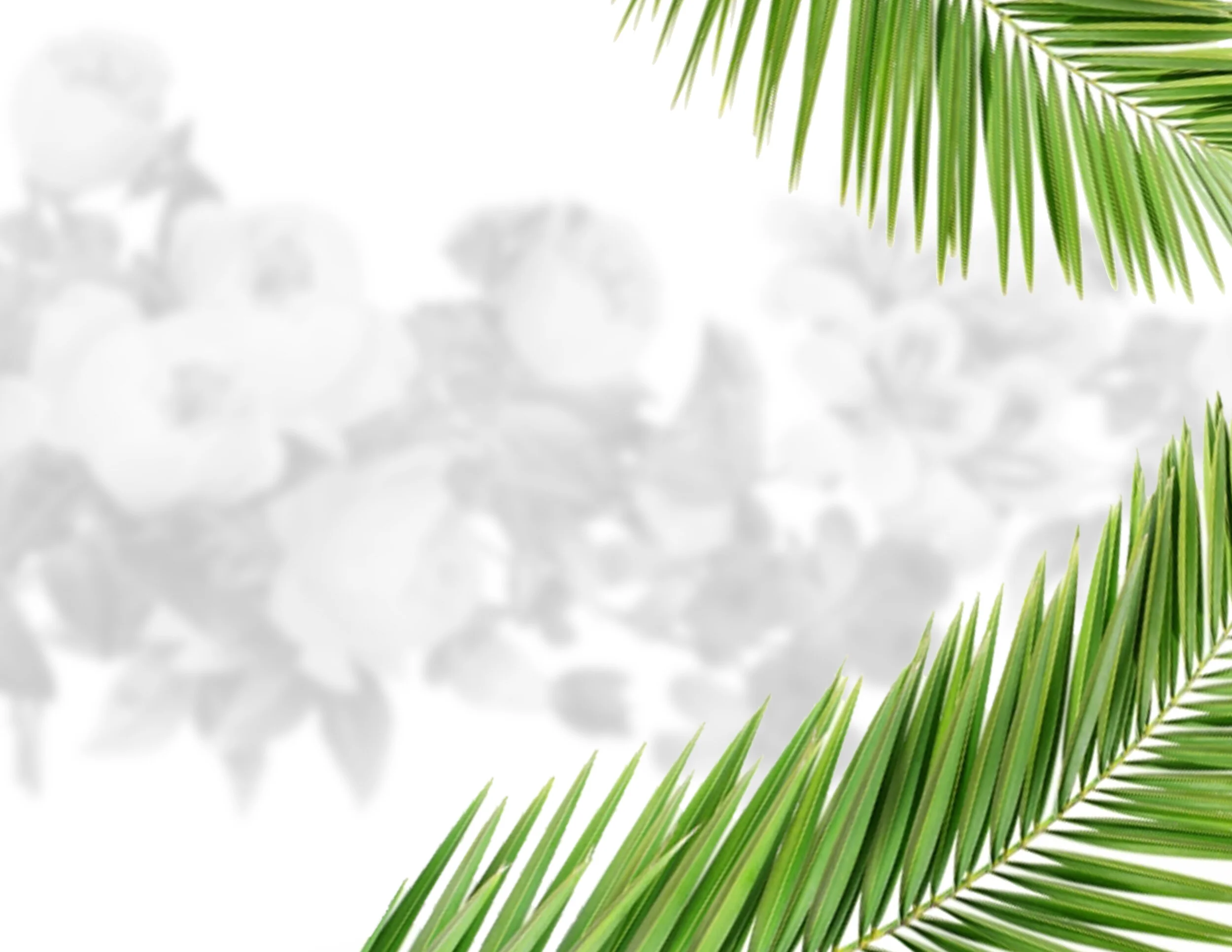 polishedbackground.jpg