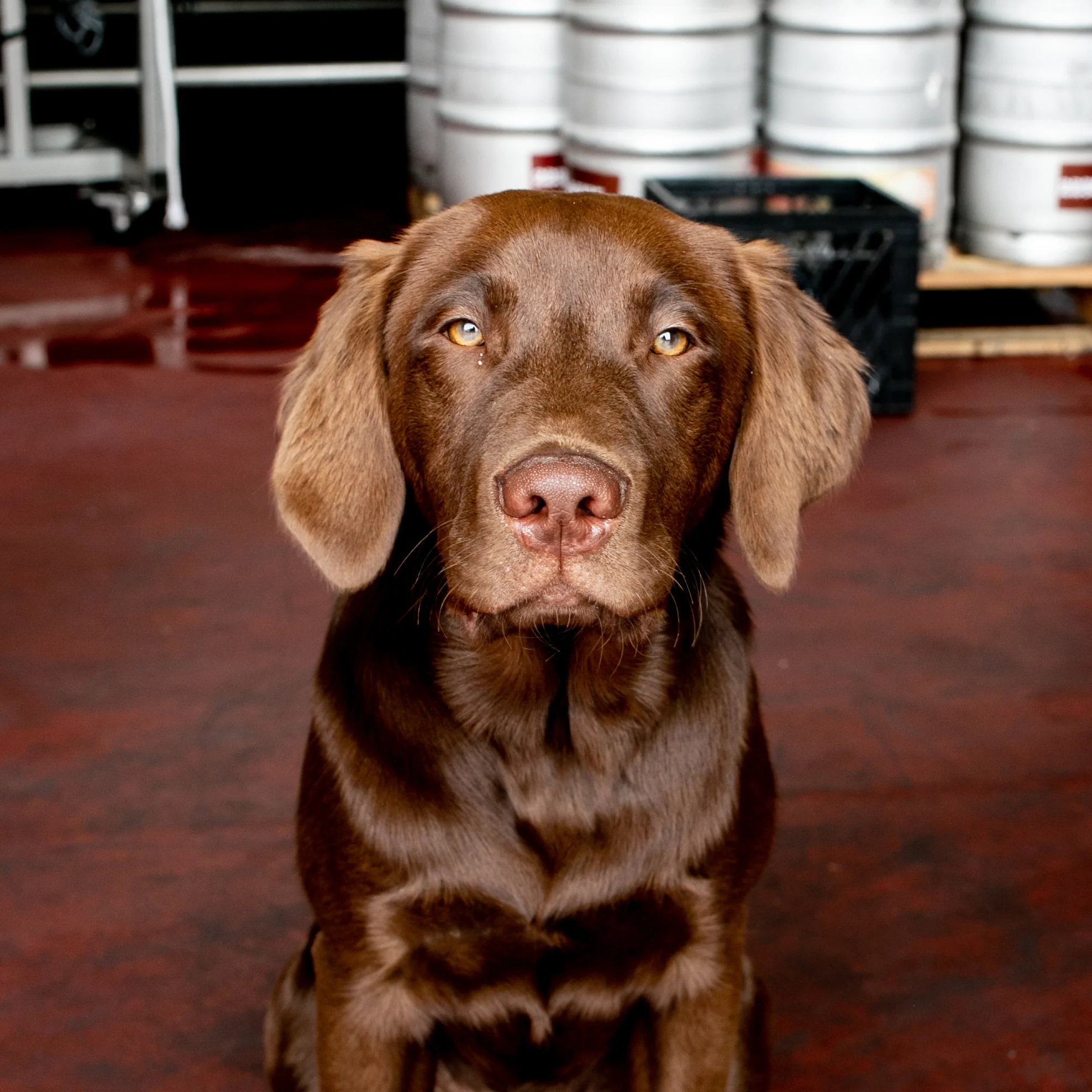 StaffHeadshots-3059-2.jpg