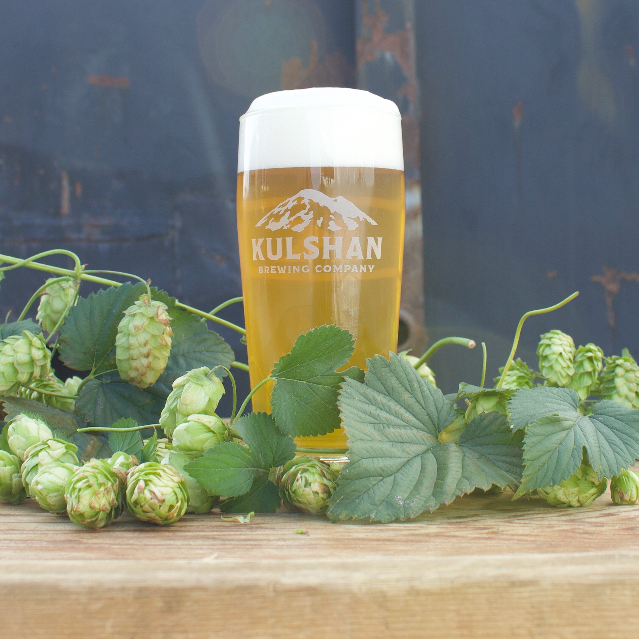 Fresh Hop IPA — Kulshan Brewing Company