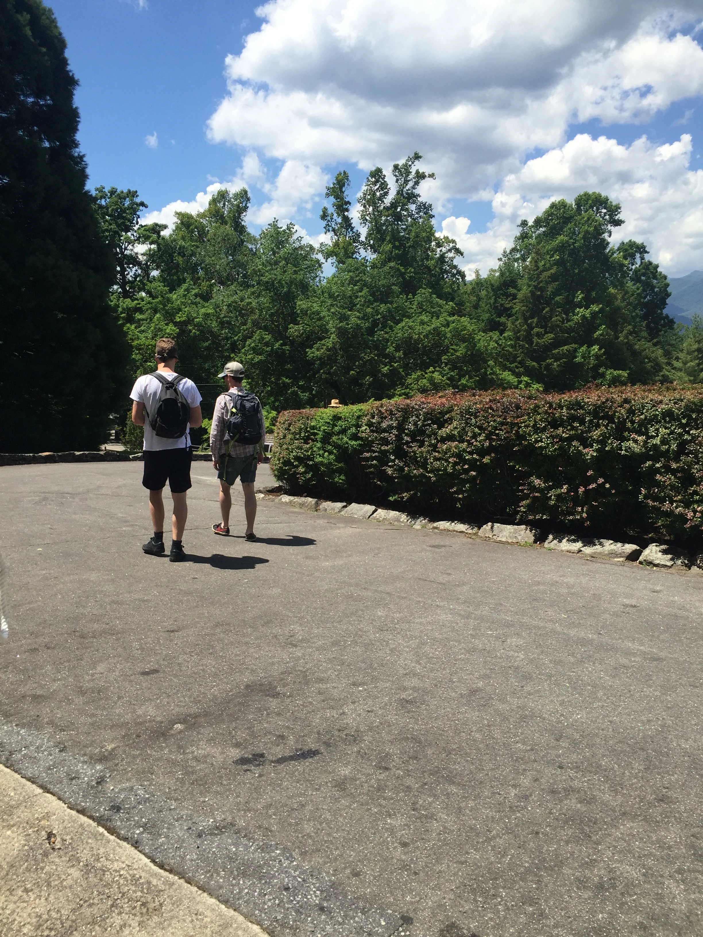   Black Mountain Summer School/School of the Alternative article  