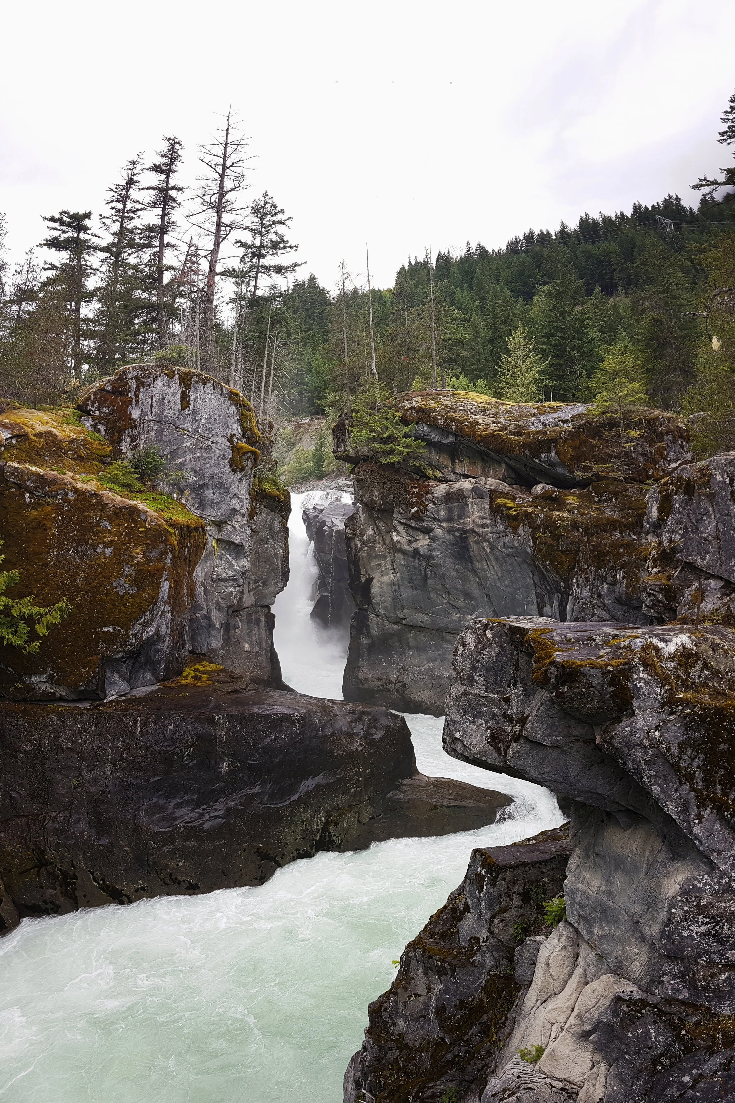 2019-07-10 09.27.21 1.jpg