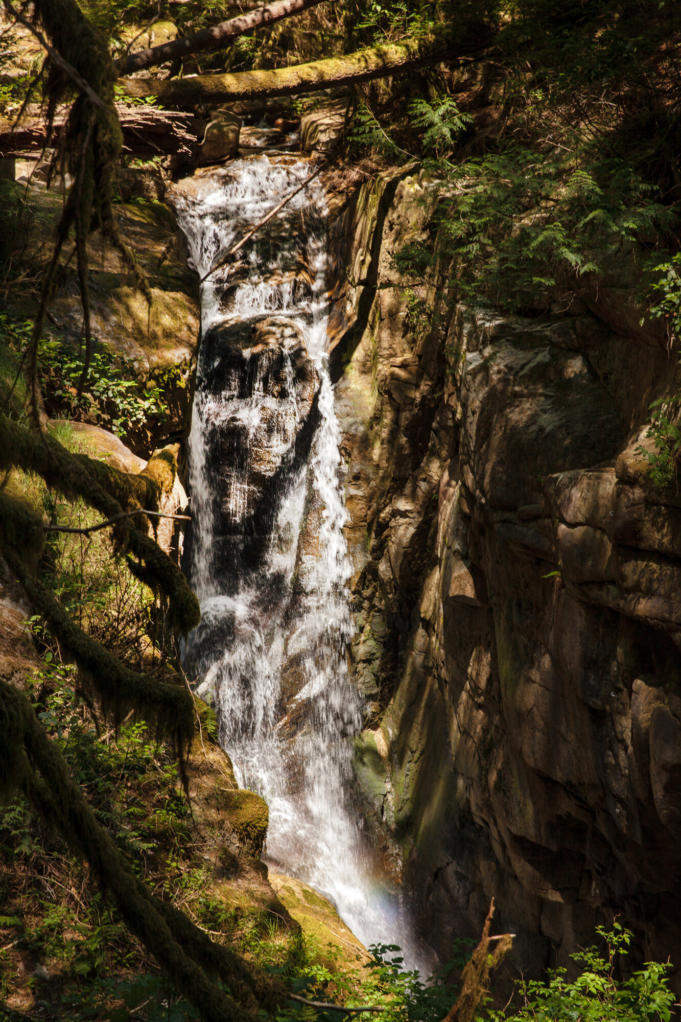 july192021-Cypress-Falls-christine-mcavoy-0005.jpg