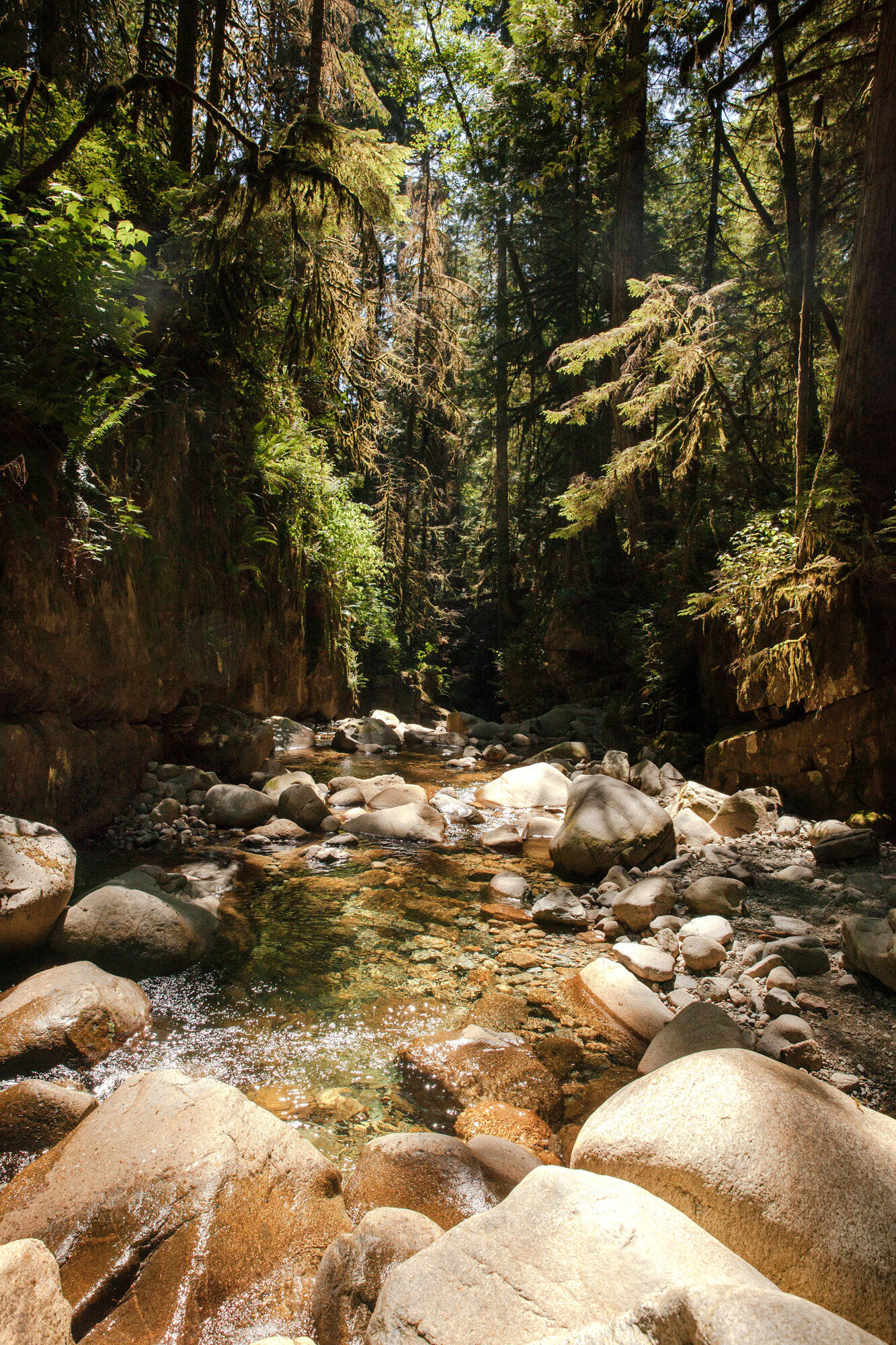 july192021-Cypress-Falls-christine-mcavoy-0026.jpg