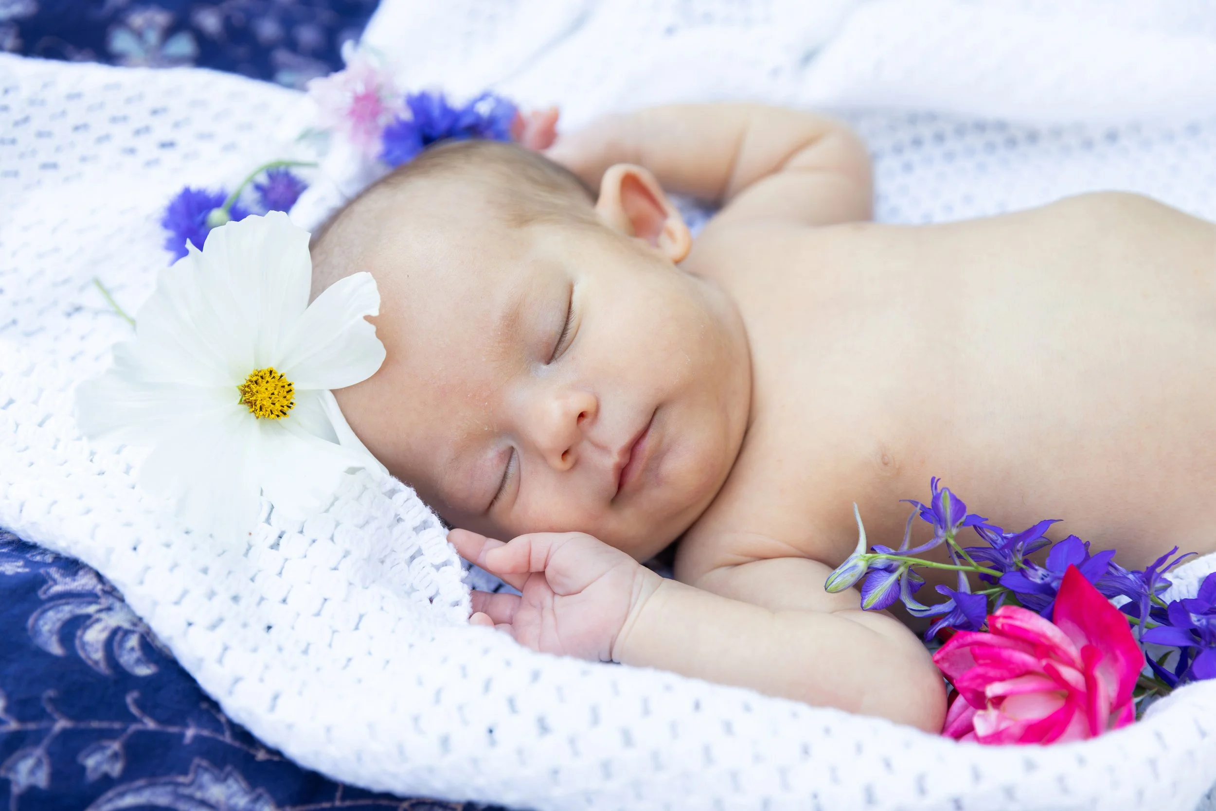 july302025-josephine-newborn-christine-mcavoy-0117.jpg
