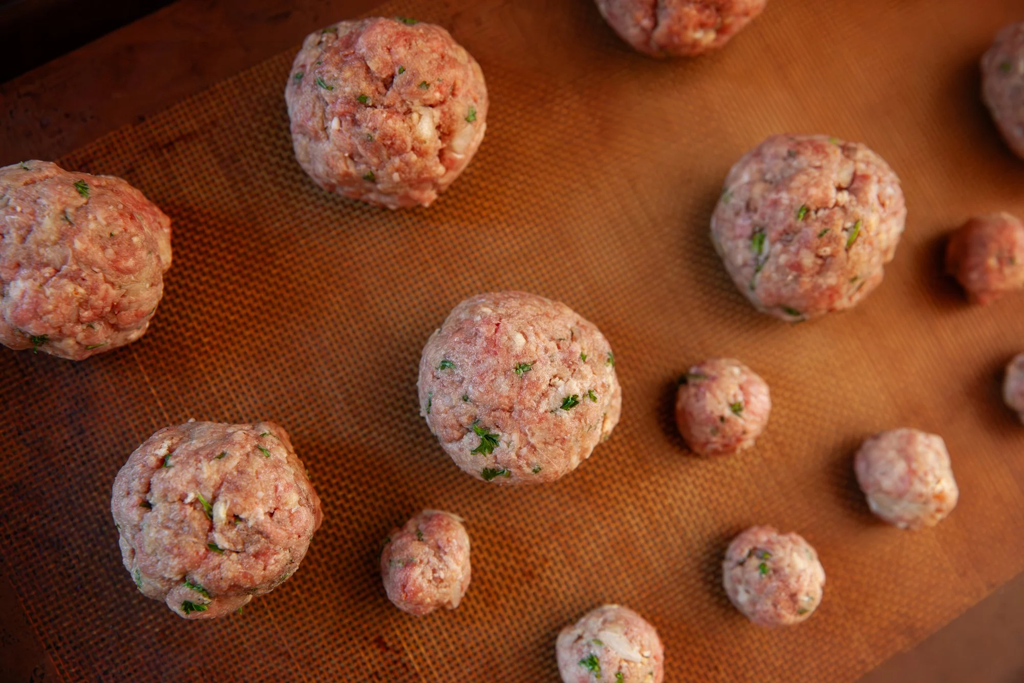january2025-meatballs-christine-mcavoy-0017.jpg