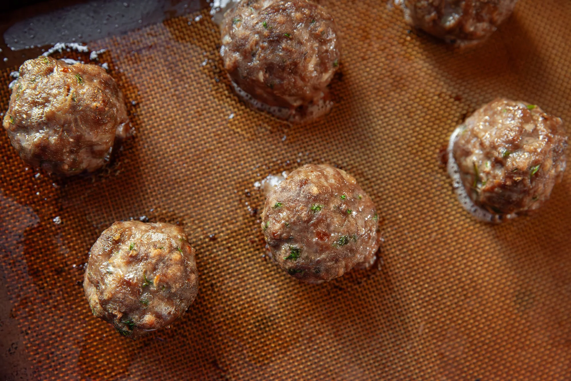 january2025-meatballs-christine-mcavoy-0019.jpg