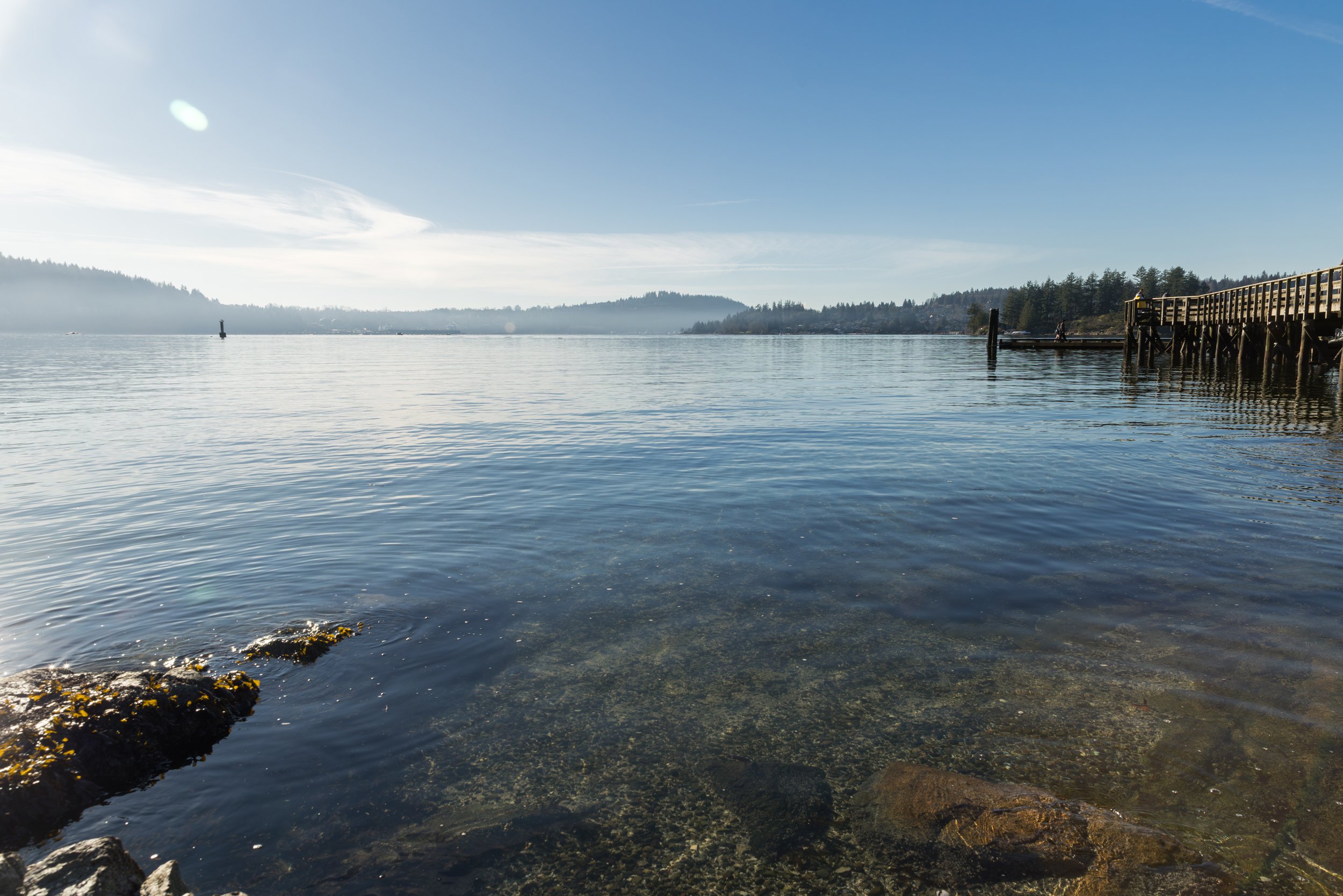 EVENT: Swallow Tail Culinary Adventure - Sea Foraging - January 2026