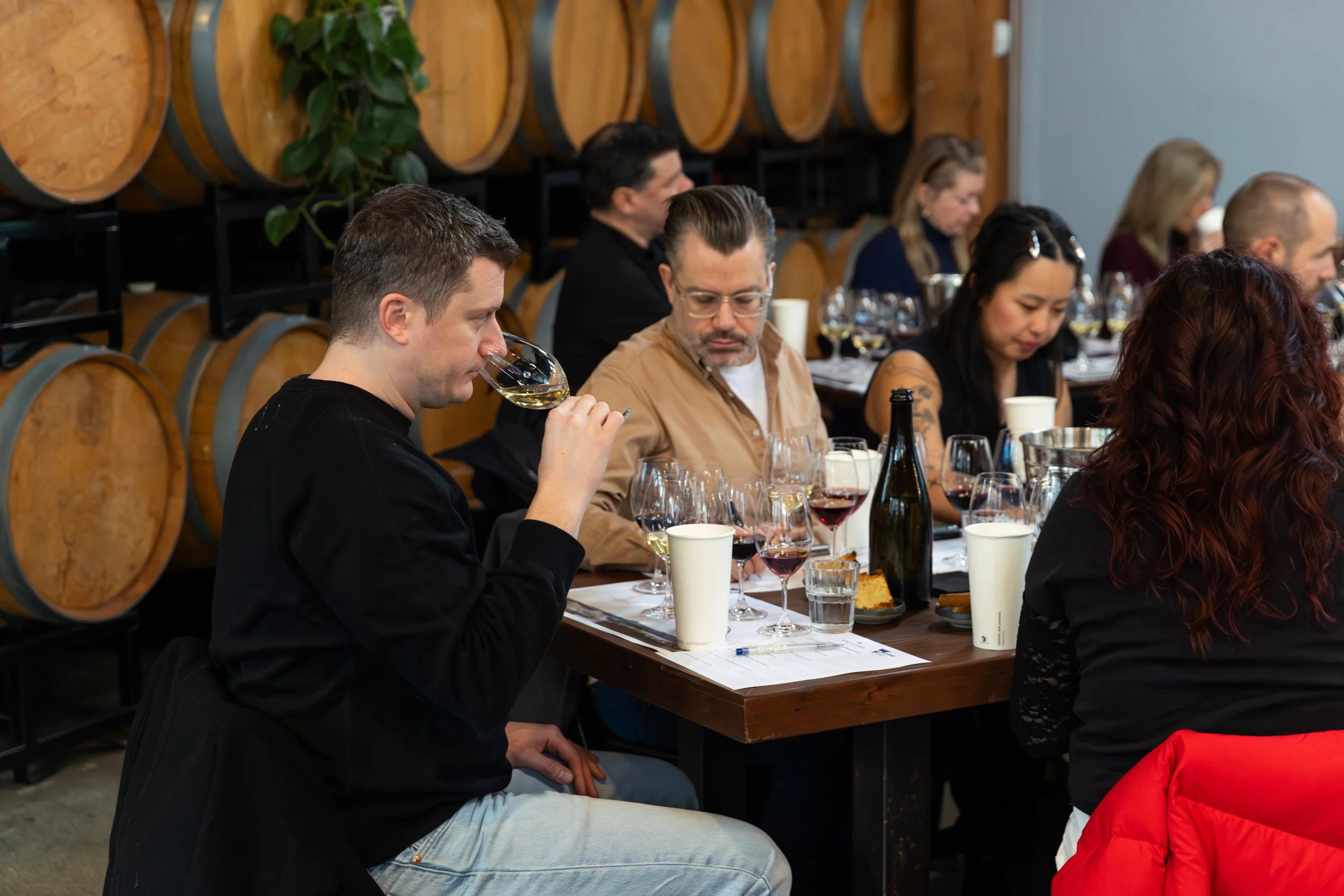 february192026-wine-victoria-christine-mcavoy-0085.jpg