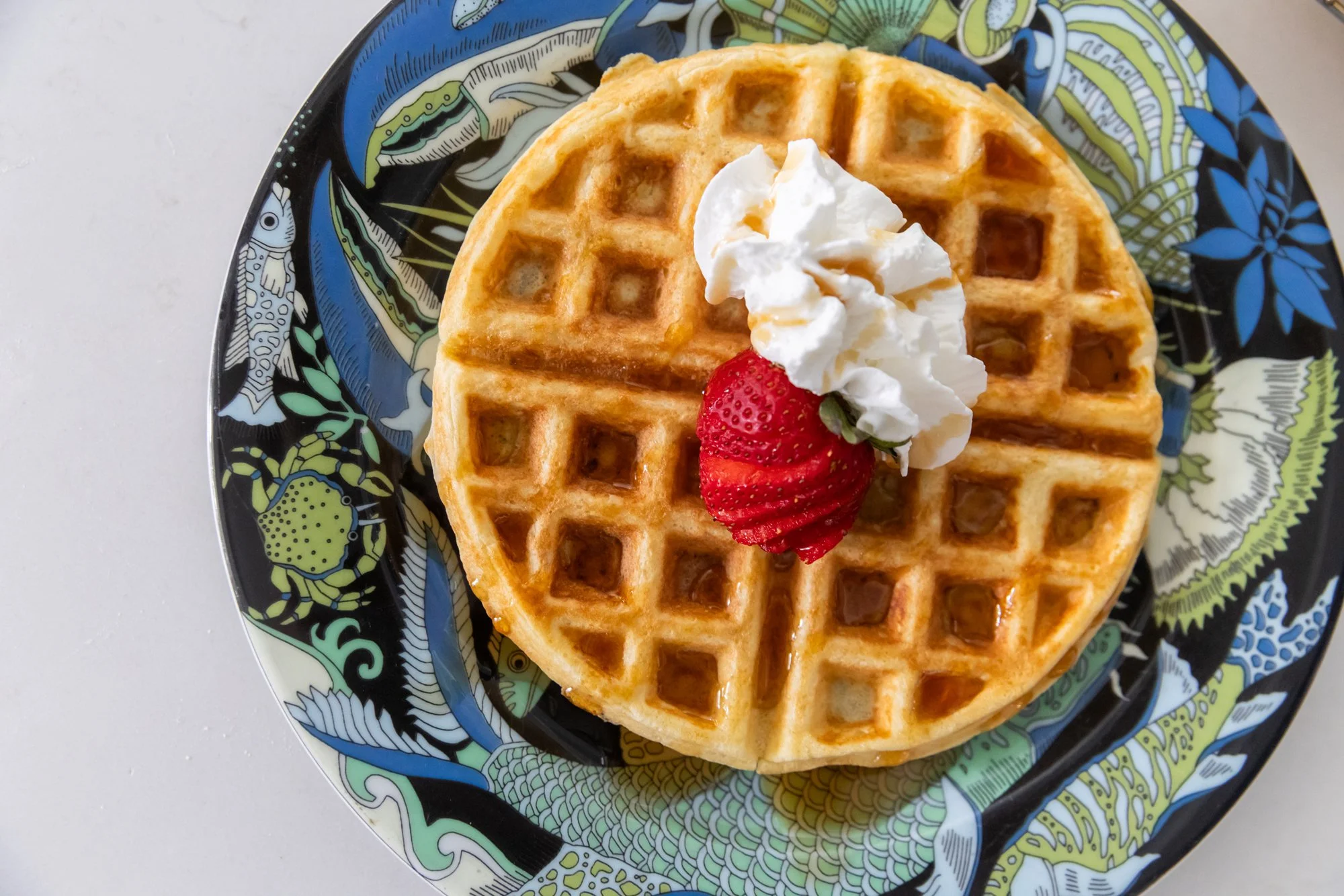march222026-waffles-christine-mcavoy-0018.jpg