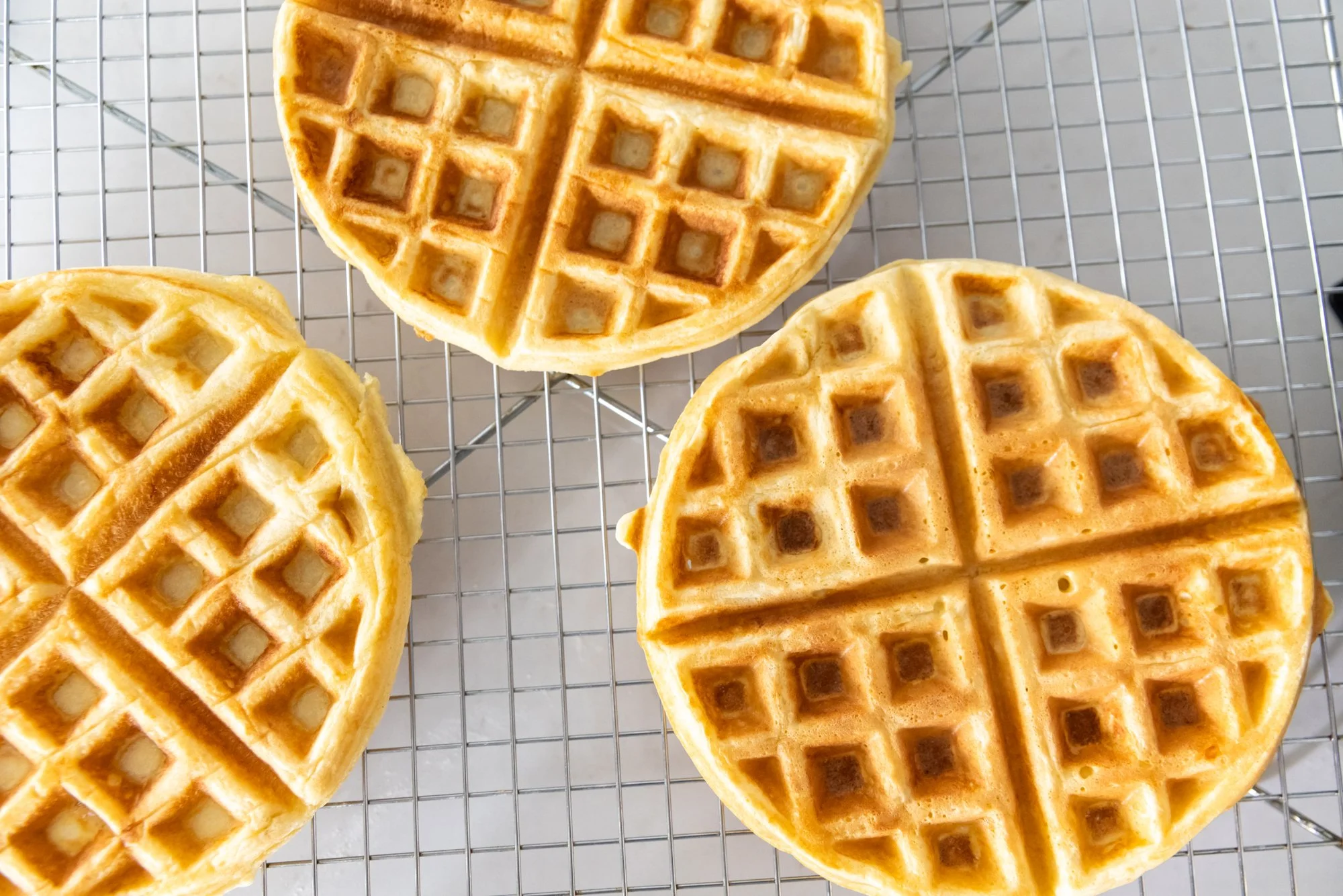 march222026-waffles-christine-mcavoy-0014.jpg