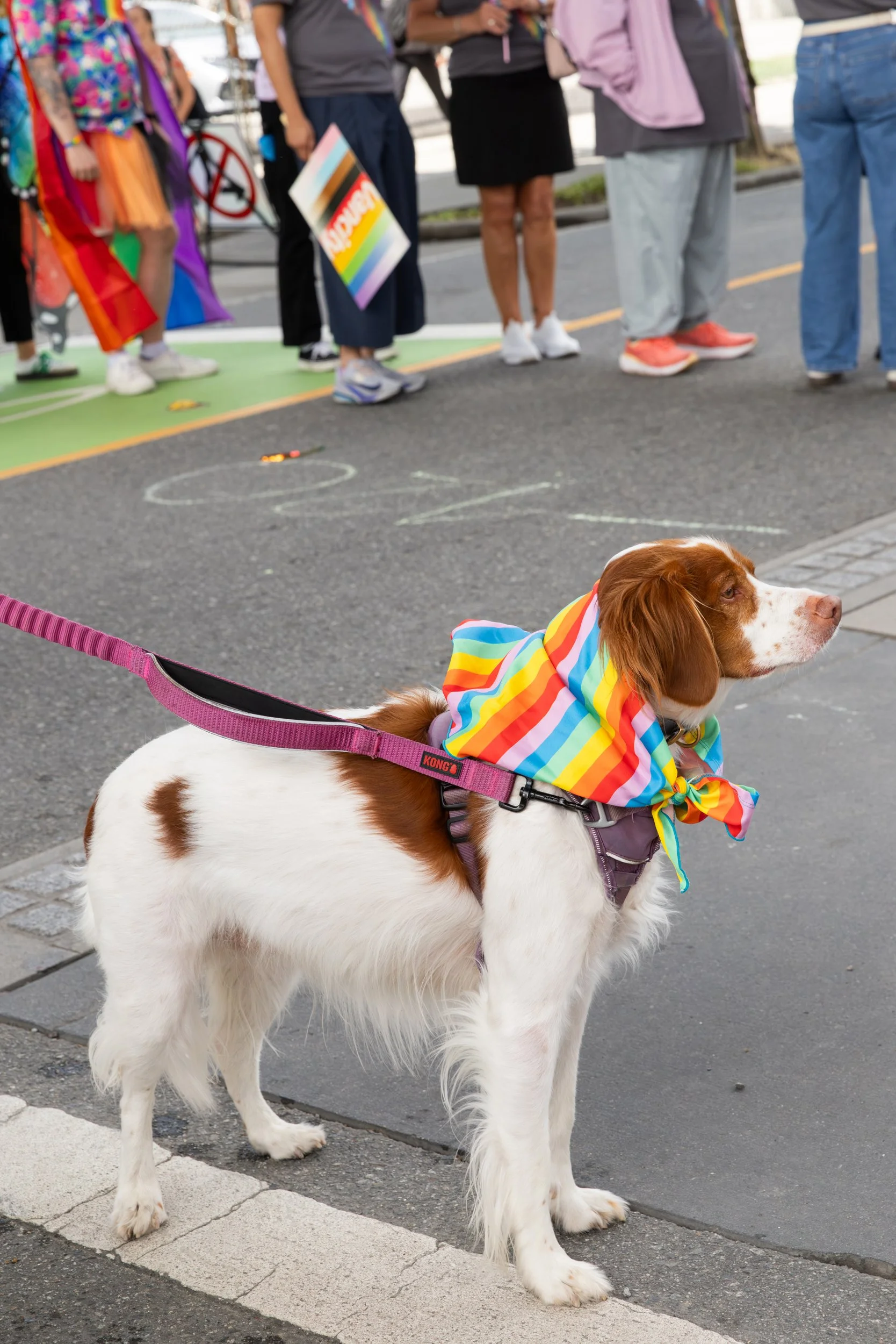 august022026-pride-parade-christine-mcavoy-0067.jpg