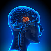 brainspotting.jpg