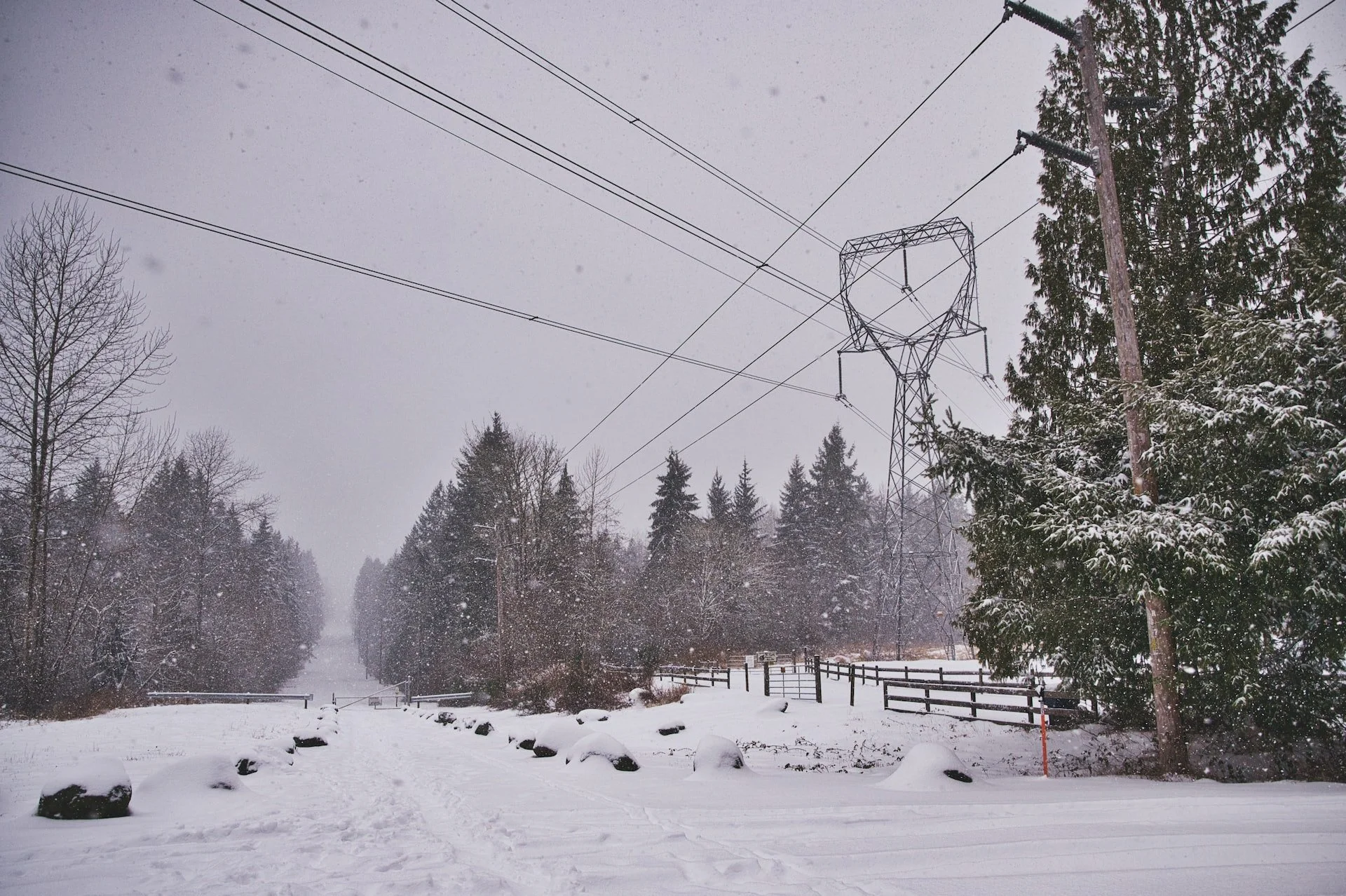 Western Interconnection hourly electric power supply: 28 Dec 2025 - 3 Jan 2026