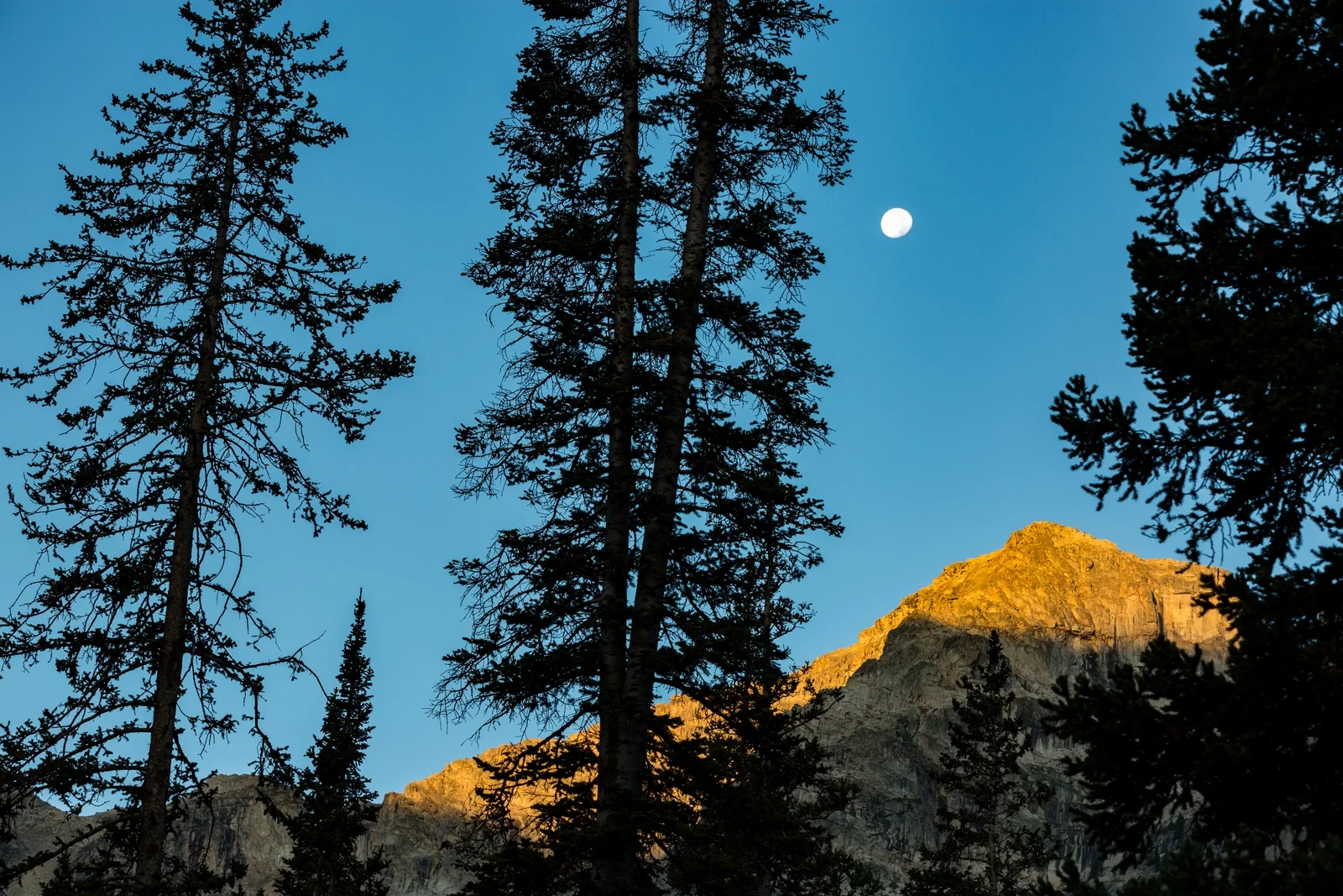 Indian Peaks Wilderness Dawn Moon Colorado Outdoor Lifestyle - Emily Sierra Photography