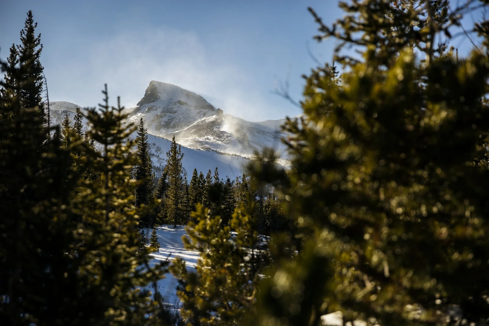 Sawtooth Mountain Winter Trees Colorado Outdoor Lifestyle - Emily Sierra Photography