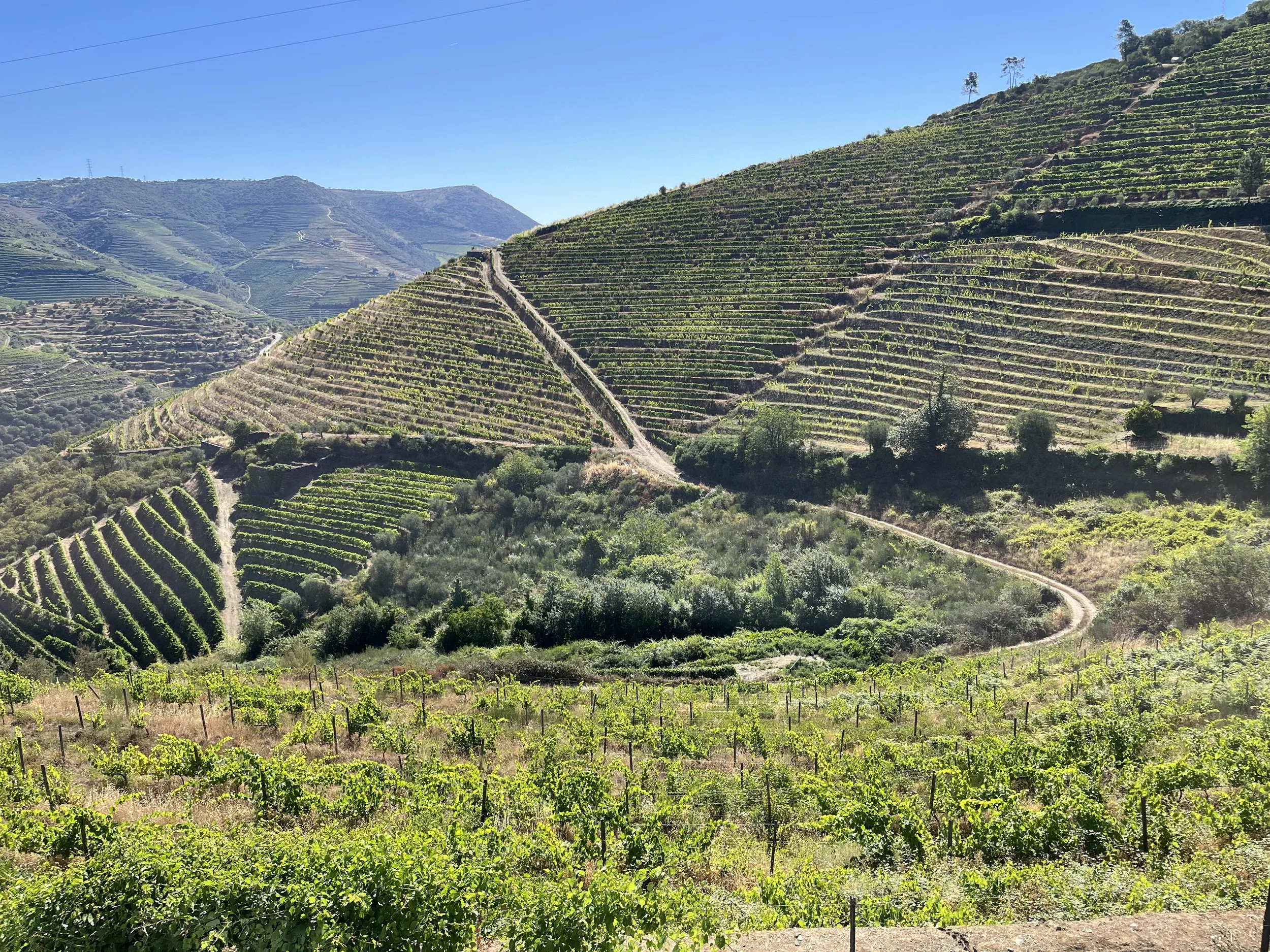 SOMMer Camp- Portugal