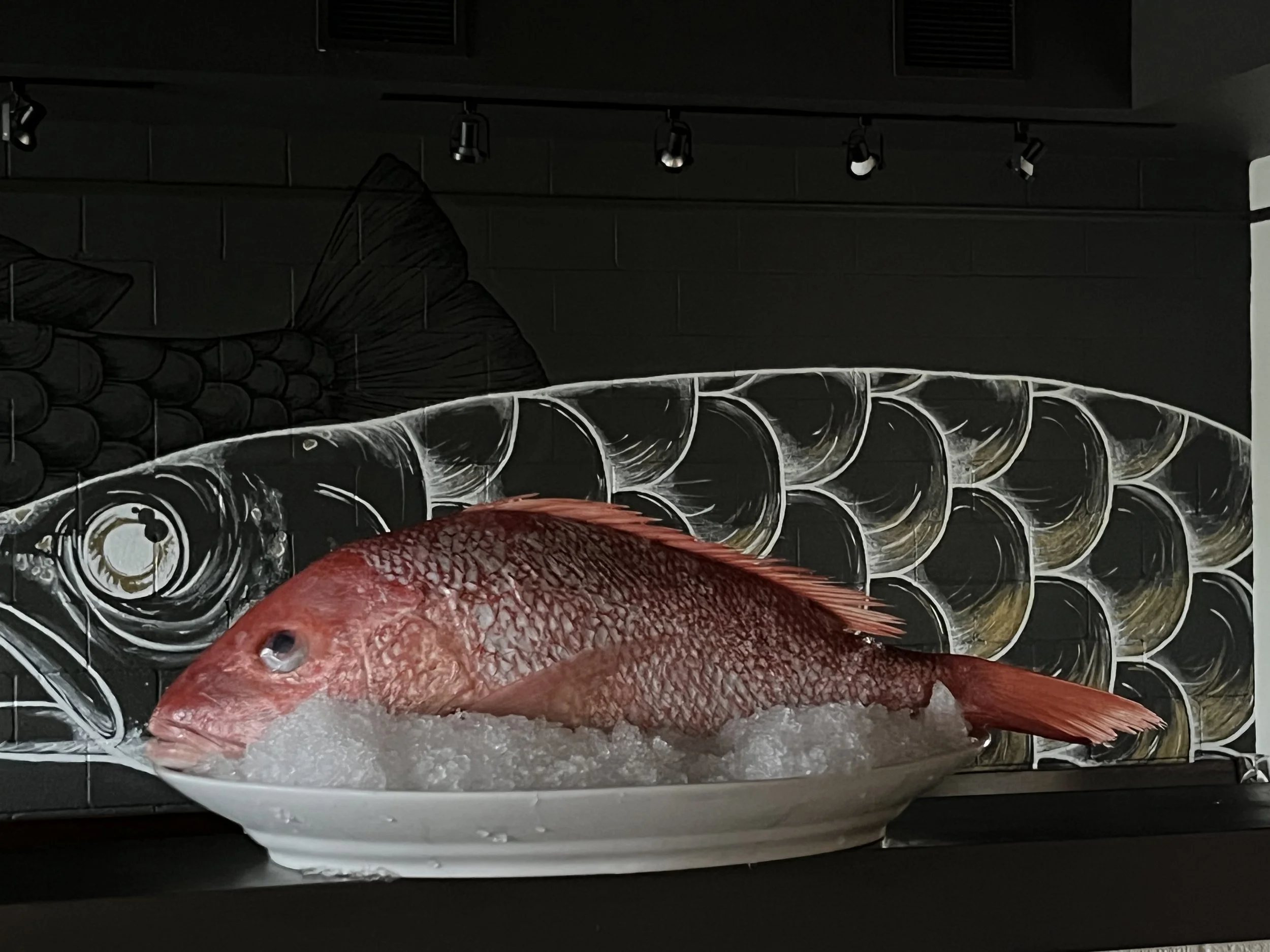 Sustainable Seafood Cooking Class -  Dive into the Deep End!