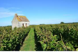 Happy Hour with the Winemaker Greg Pfaender from Authentique Wine Imports