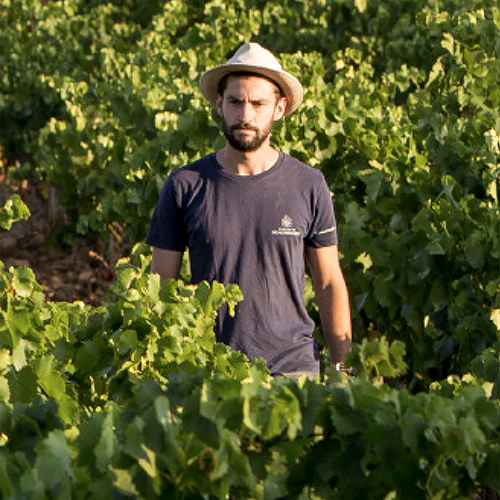 Domaine de Beaurenard's 8th Generation, Antonin Coulon Shares His Wine