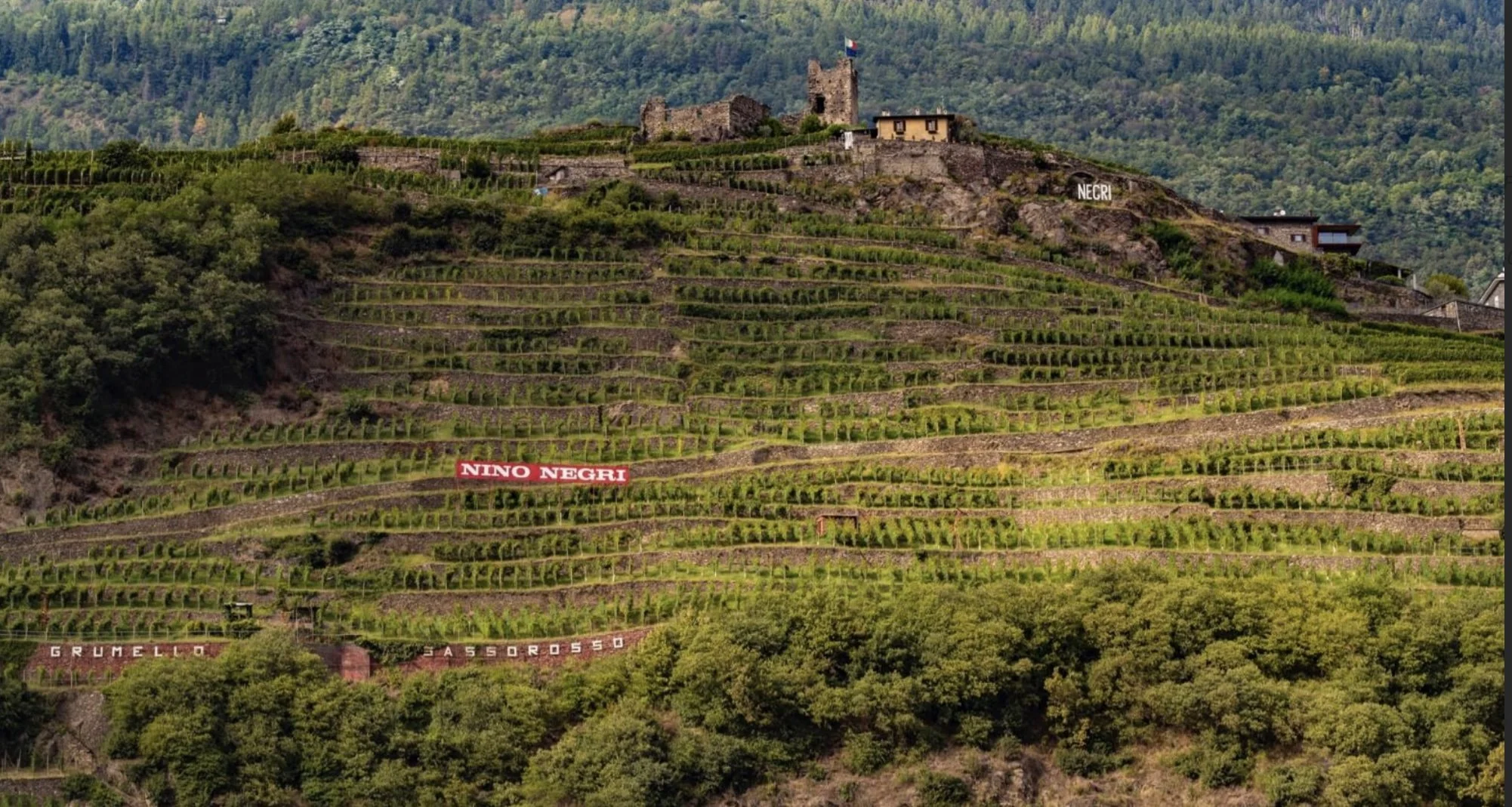 Nino Negri Winemaker, Danilo Drocco Dinner