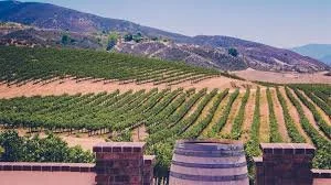 Santa Barbara Wine Country