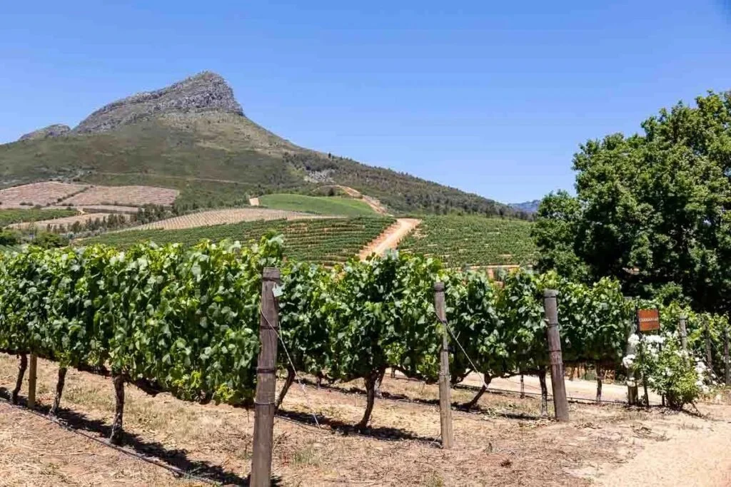 South Africa