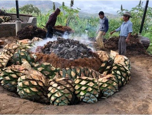 Agave Spirits - Tequila, Mezcal, + More! ?