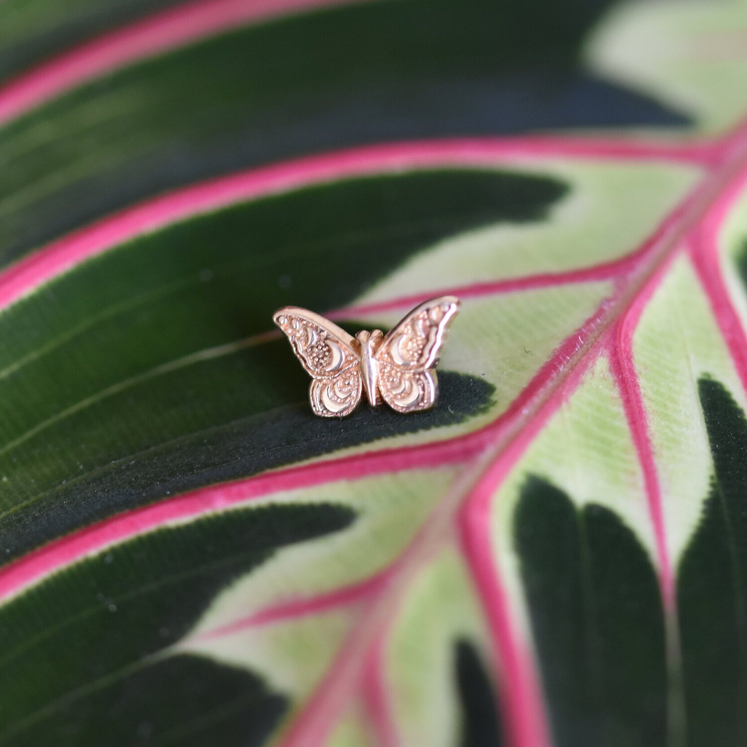 Body Gems Butterfly — TRIBAL RITES