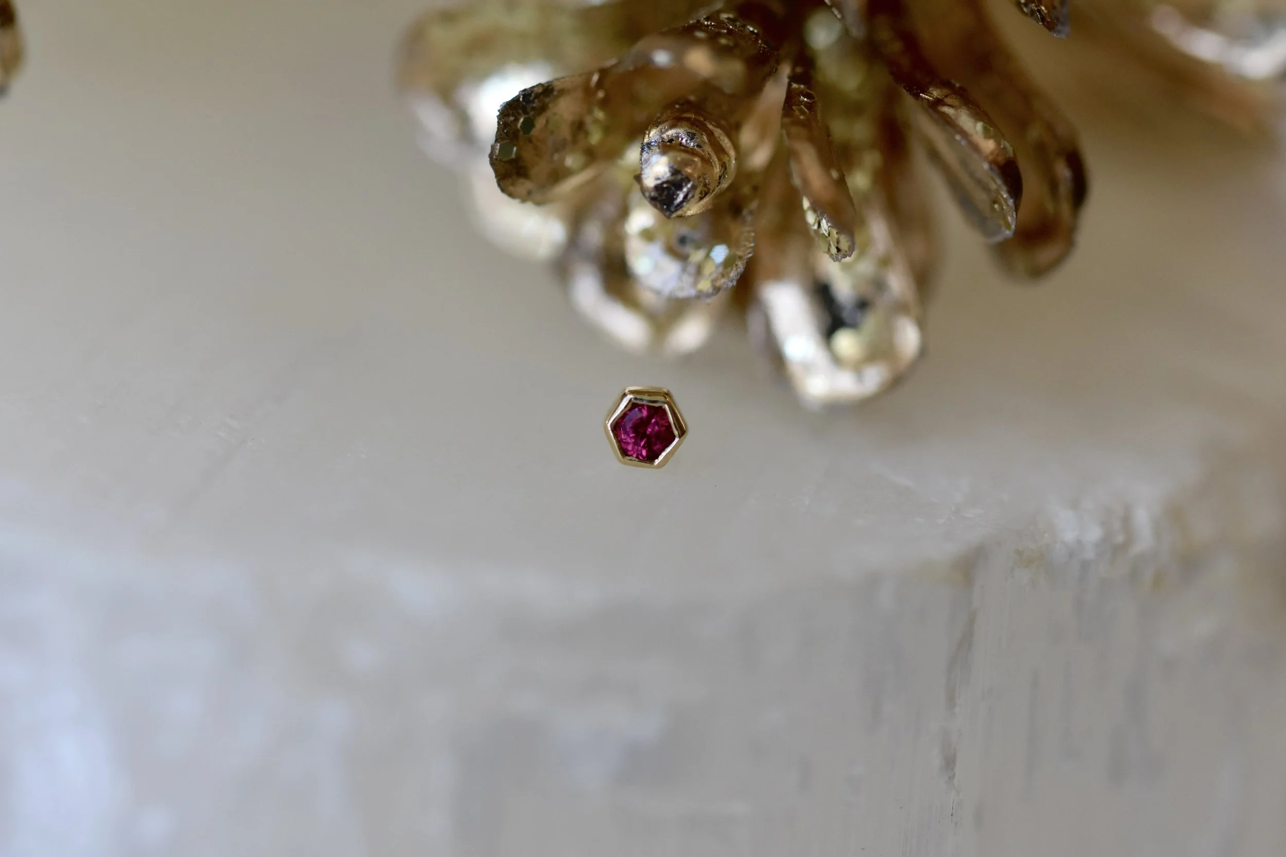 DSC_6559.JPG