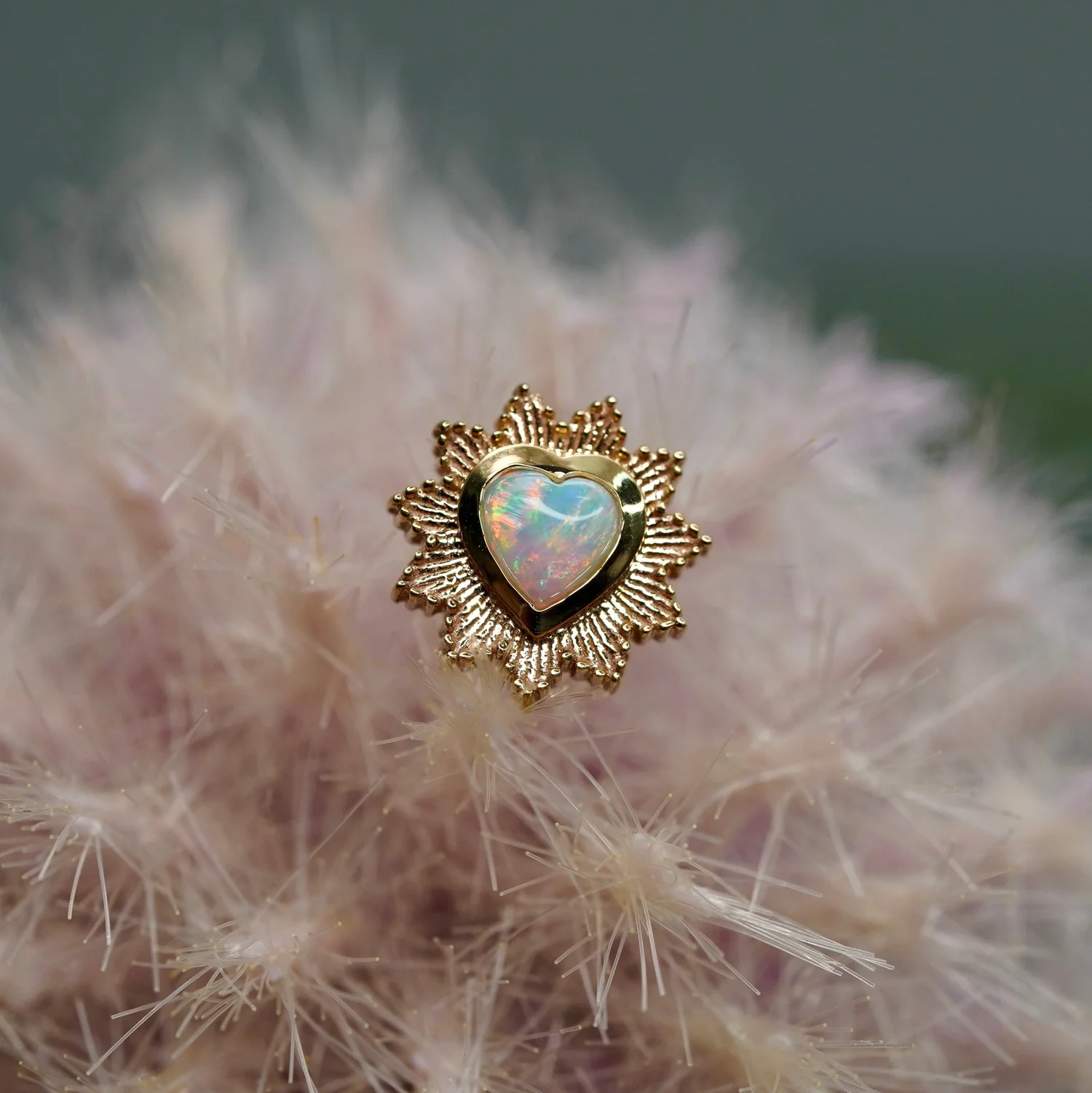 BVLA Milagro — TRIBAL RITES