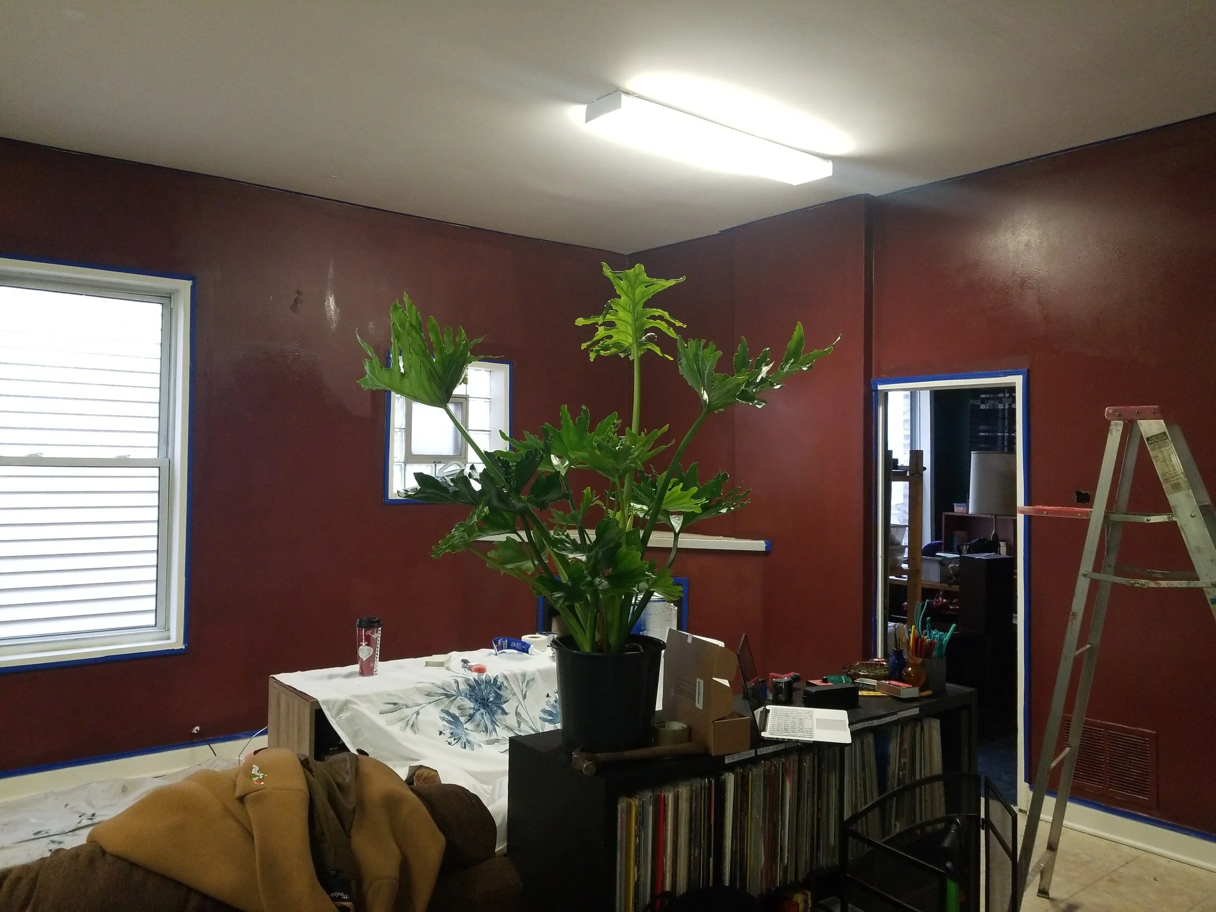 Rusty red walls! Once I fill the space with plants they will such a beautiful contrast.