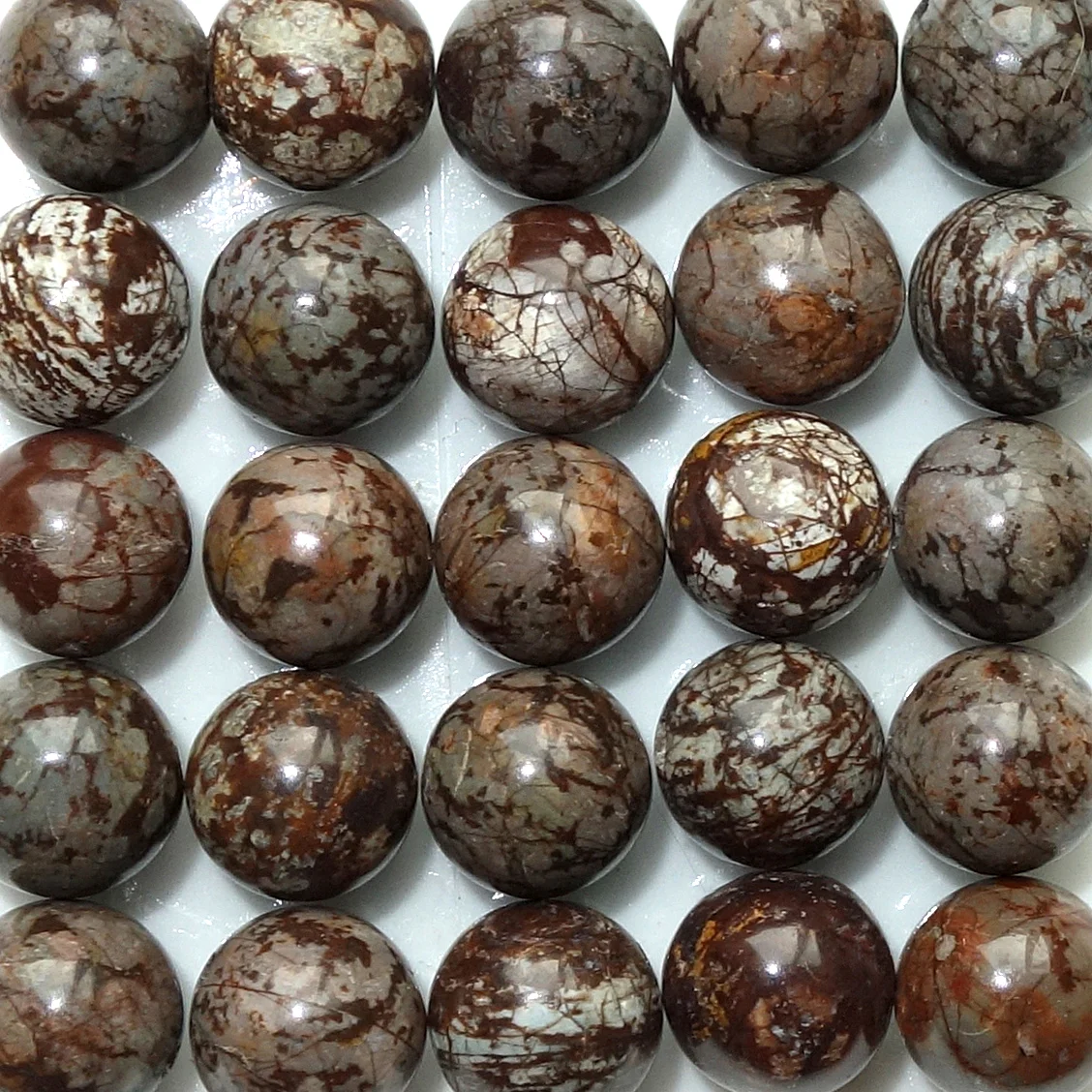 Asia - Brown Snowflake Jasper