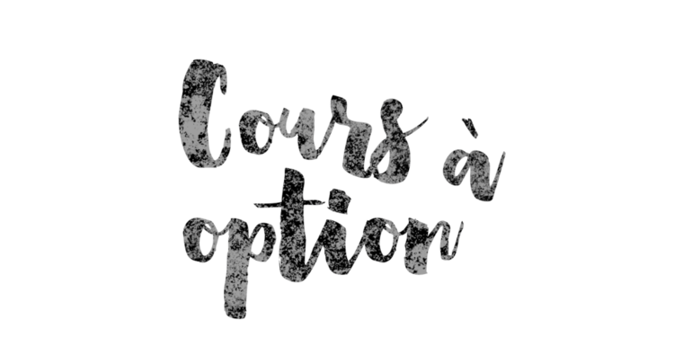 Project Launch: Cours À Option
