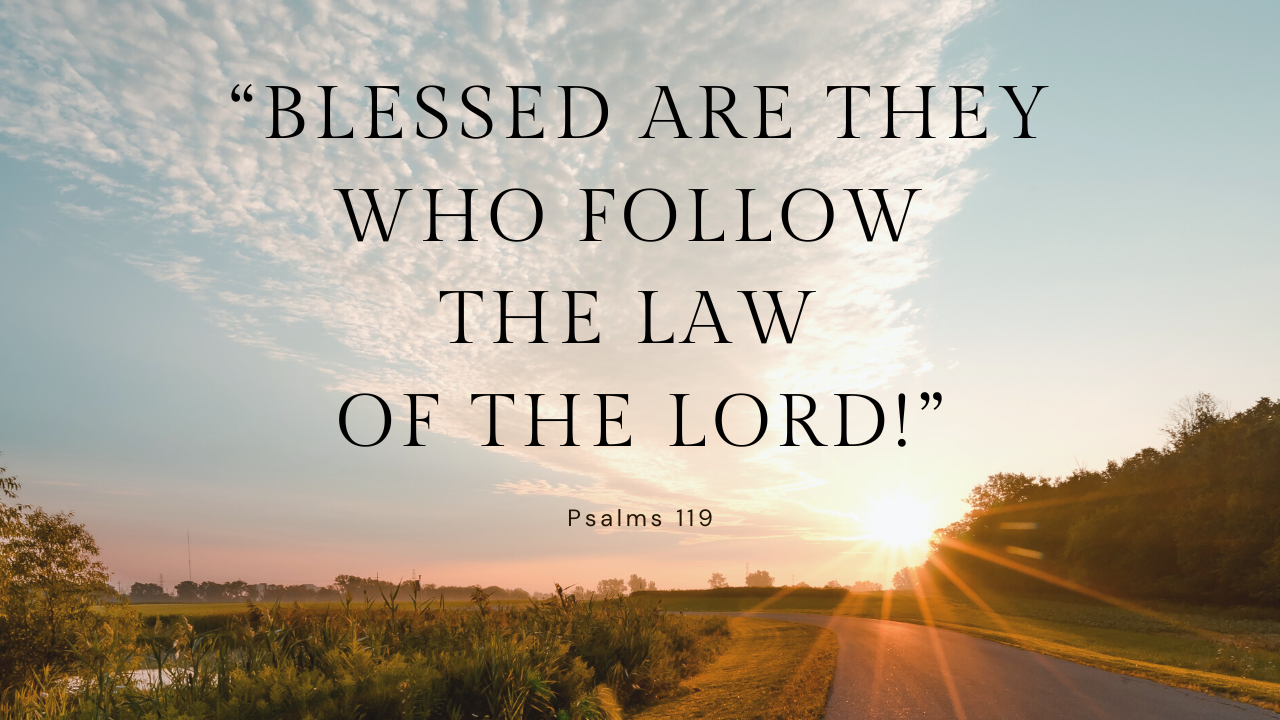 Psalm Reflection: The Sixth Sunday in Ordinary Time - Cycle A