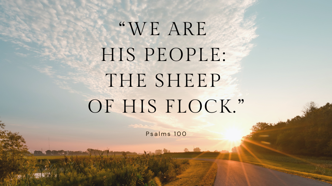 Psalm Reflection: The Eleventh Sunday in Ordinary Time - Cycle A