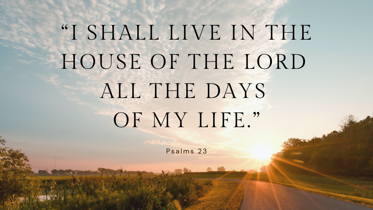 Psalm Reflection: The Twenty-eighth Sunday in Ordinary Time - Cycle A
