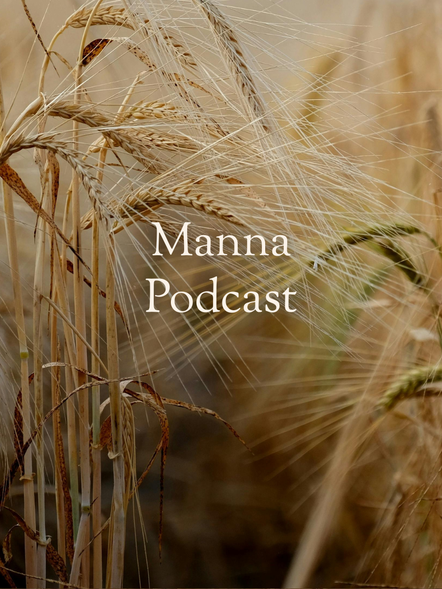 Close-up of wheat stalks in a field with the text "Manna Podcast" overlaid.