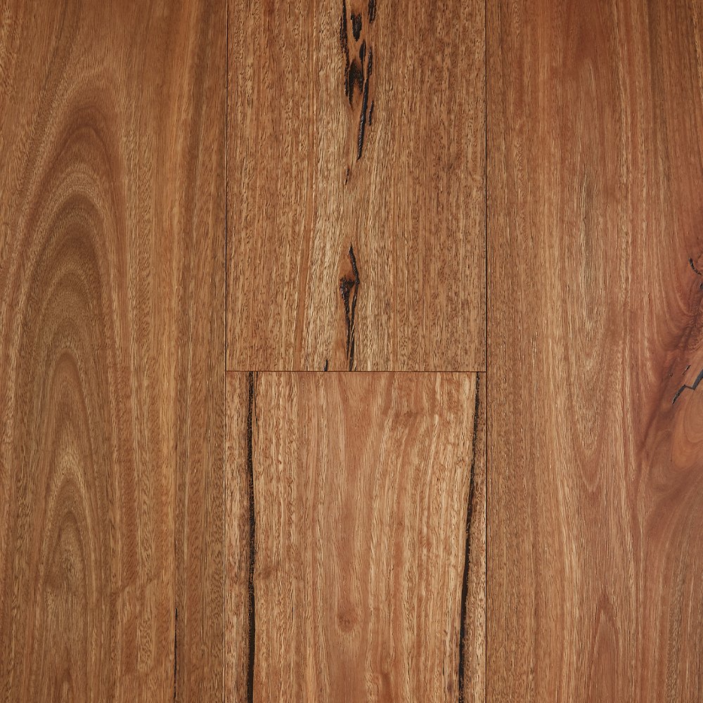 Rustic Spotted Gum [Preference Select].jpg