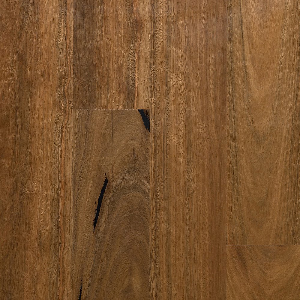 Spotted Gum [Preference Select].jpg