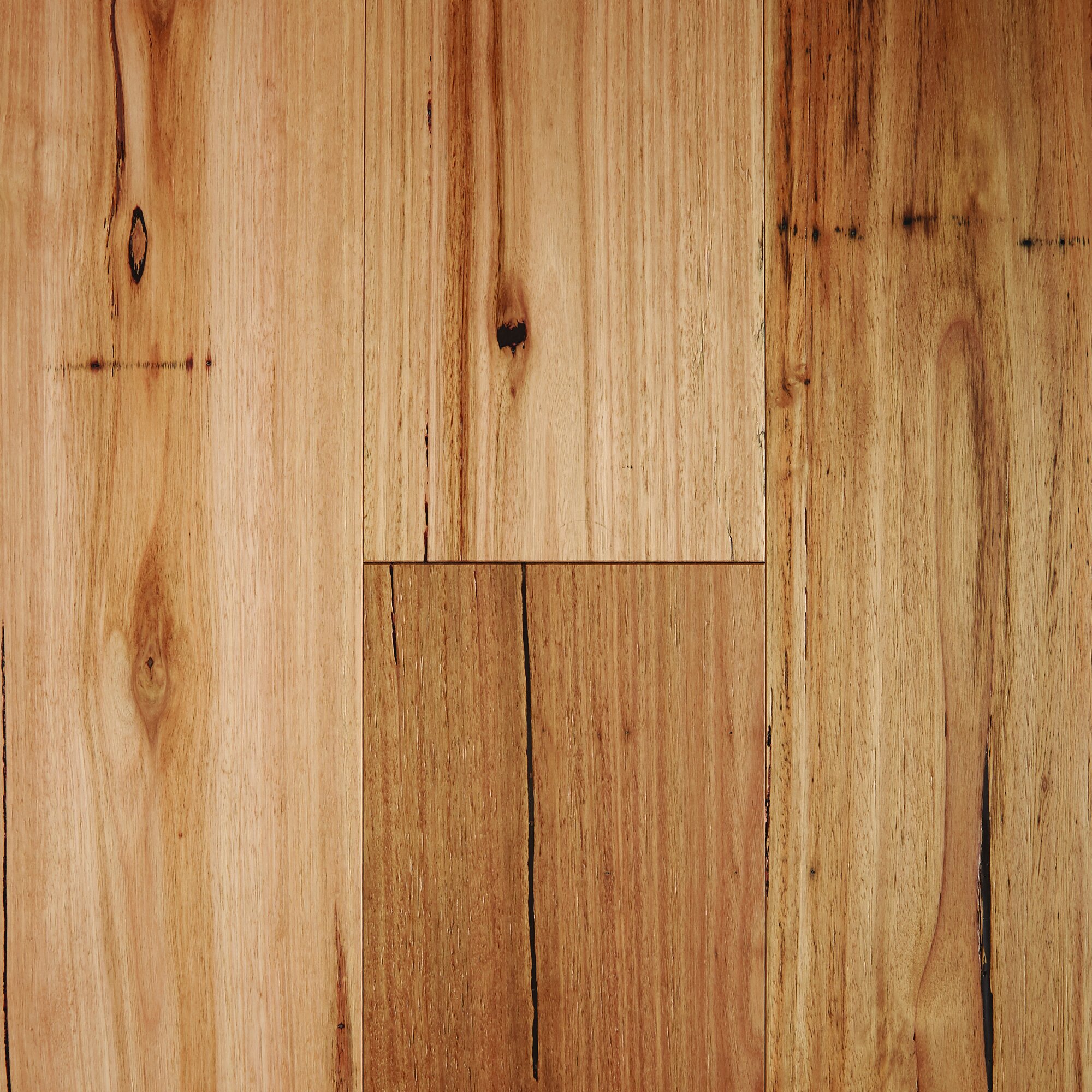 Blackbutt - Rustic Brushed Matte [Fiddleback].jpg