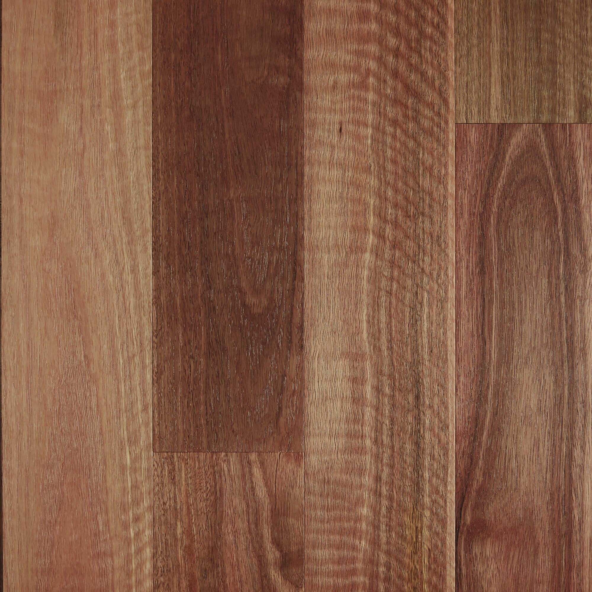 Spotted Gum - Brushed Matte [Fiddleback].jpg