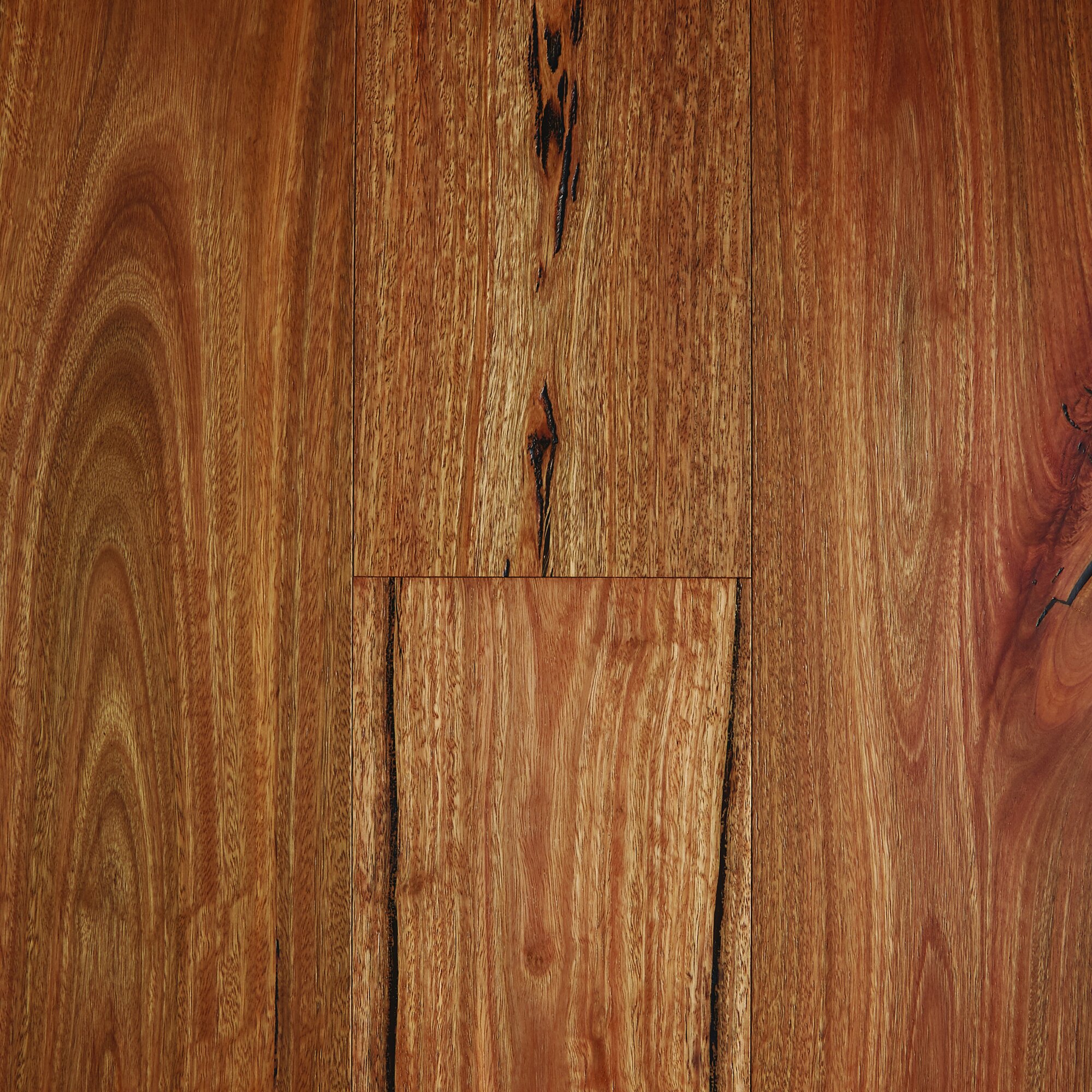 Spotted Gum - Rustic Brushed Matte [Fiddleback].jpg