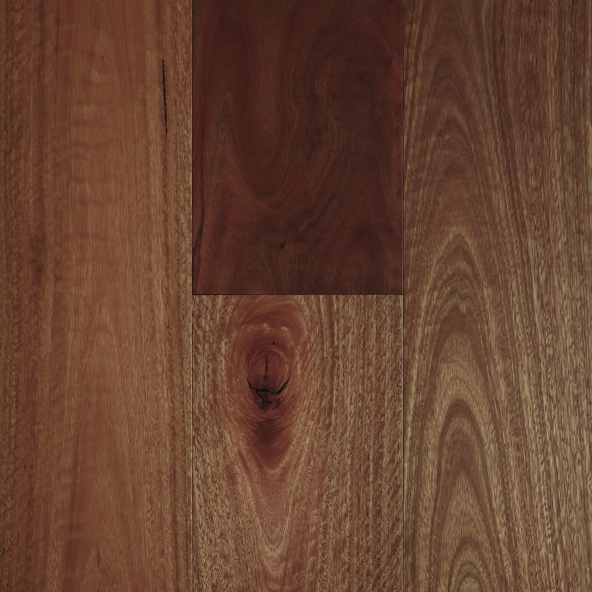 Spotted Gum - Smooth Matte [Fiddleback].jpg