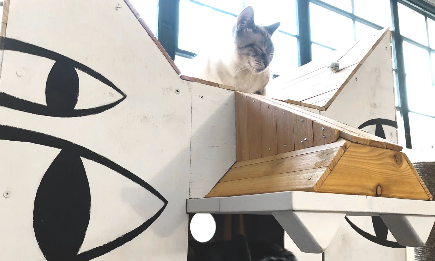 eugenegood_cathouse5.jpg