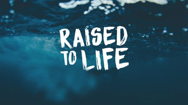 RaisedtoLife17.jpg