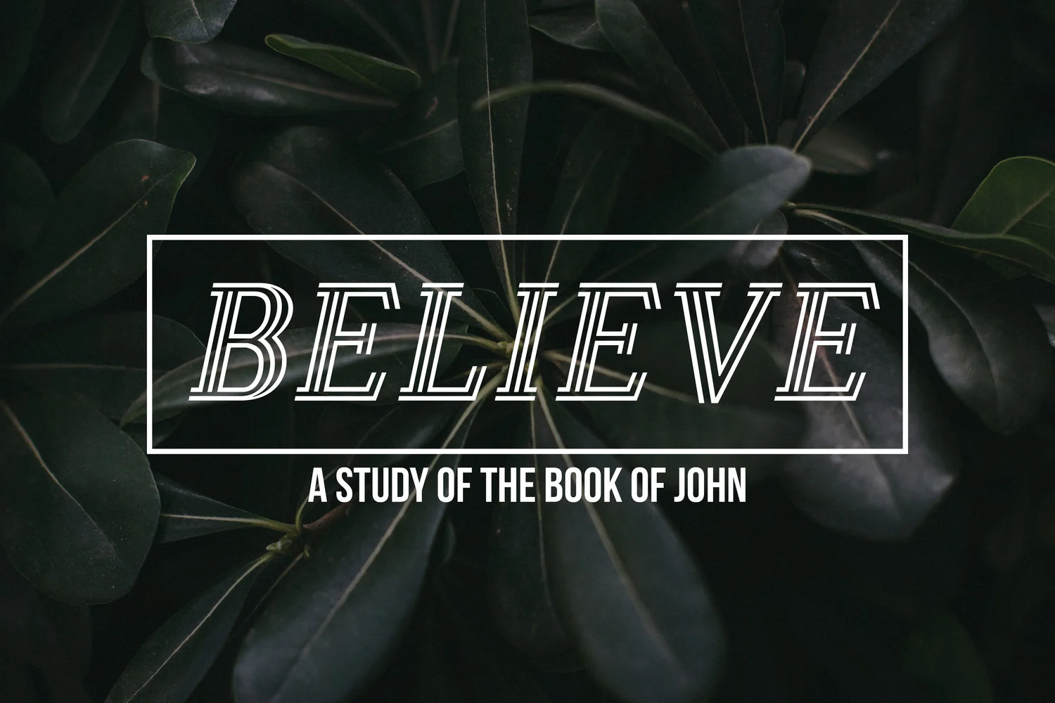 Believe.jpg