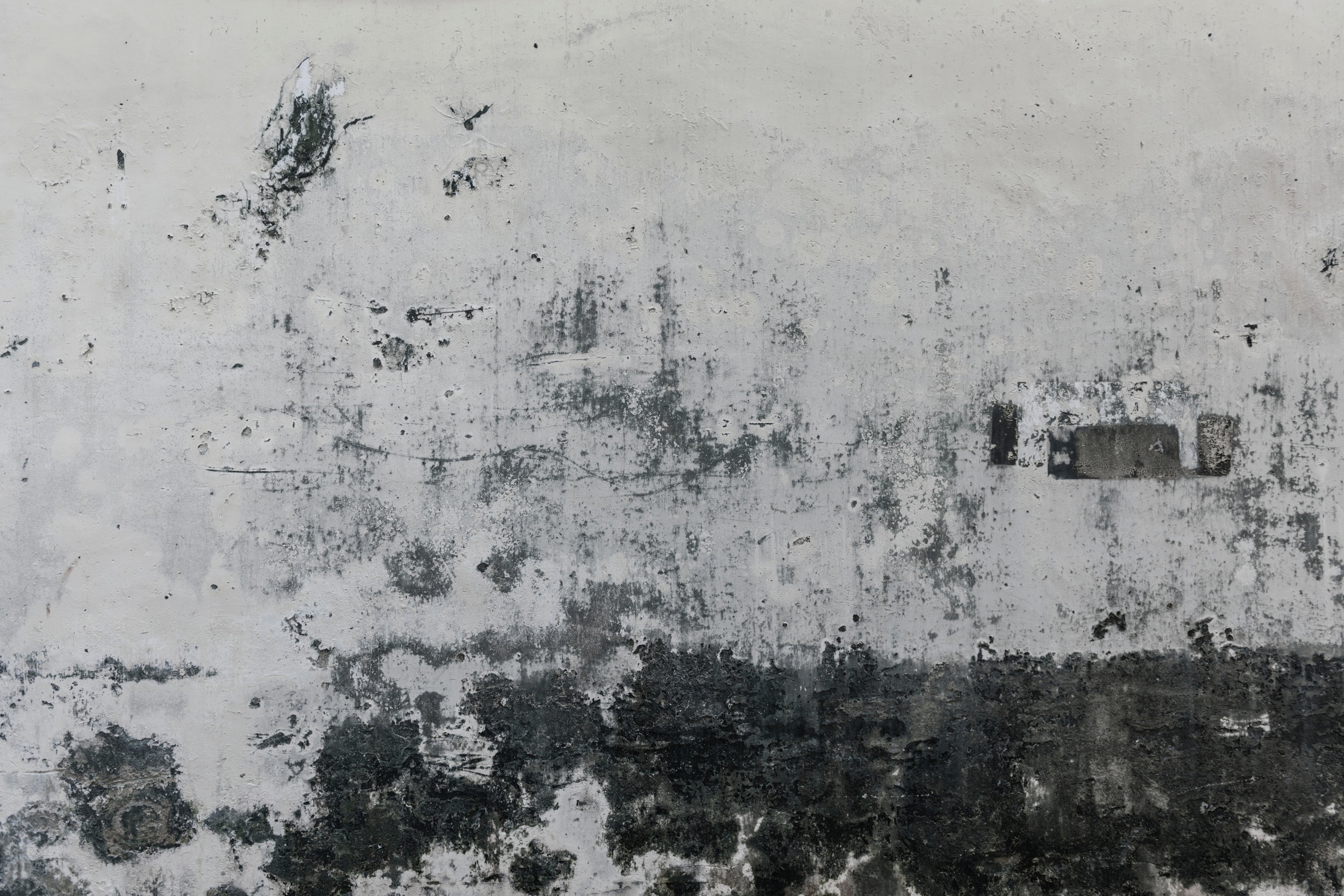 background-black-and-white-close-up-924002.jpg