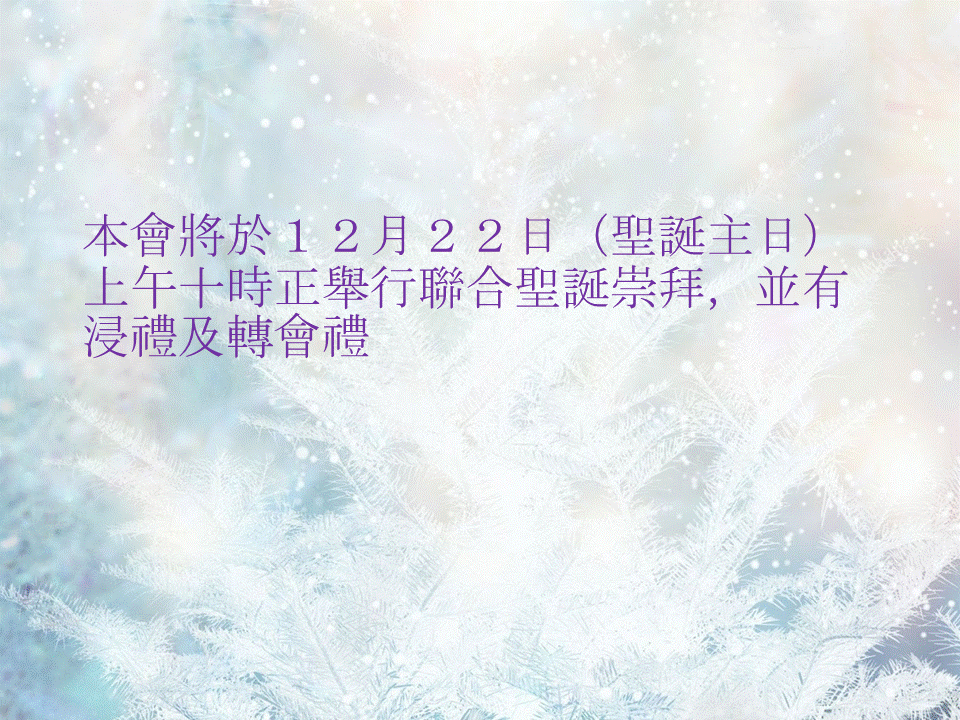 １２月２２日聖誕主日聯合聖誕崇拜